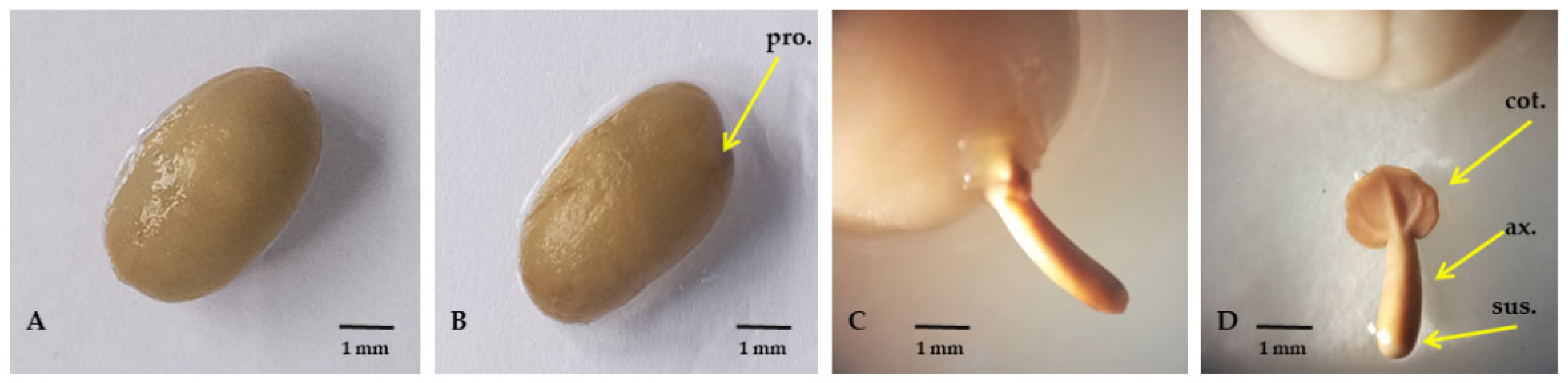 Agriculture 13 01754 g002