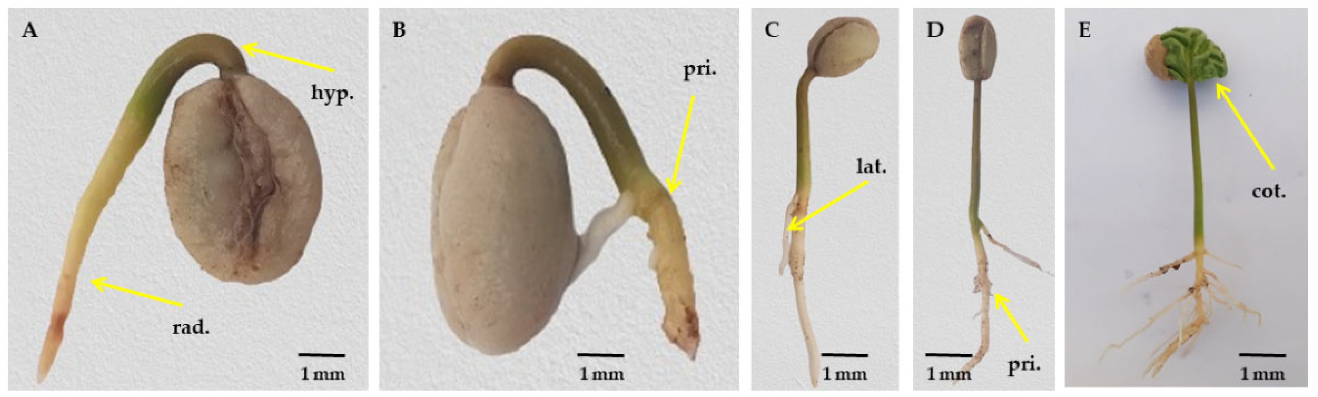 Agriculture 13 01754 g003