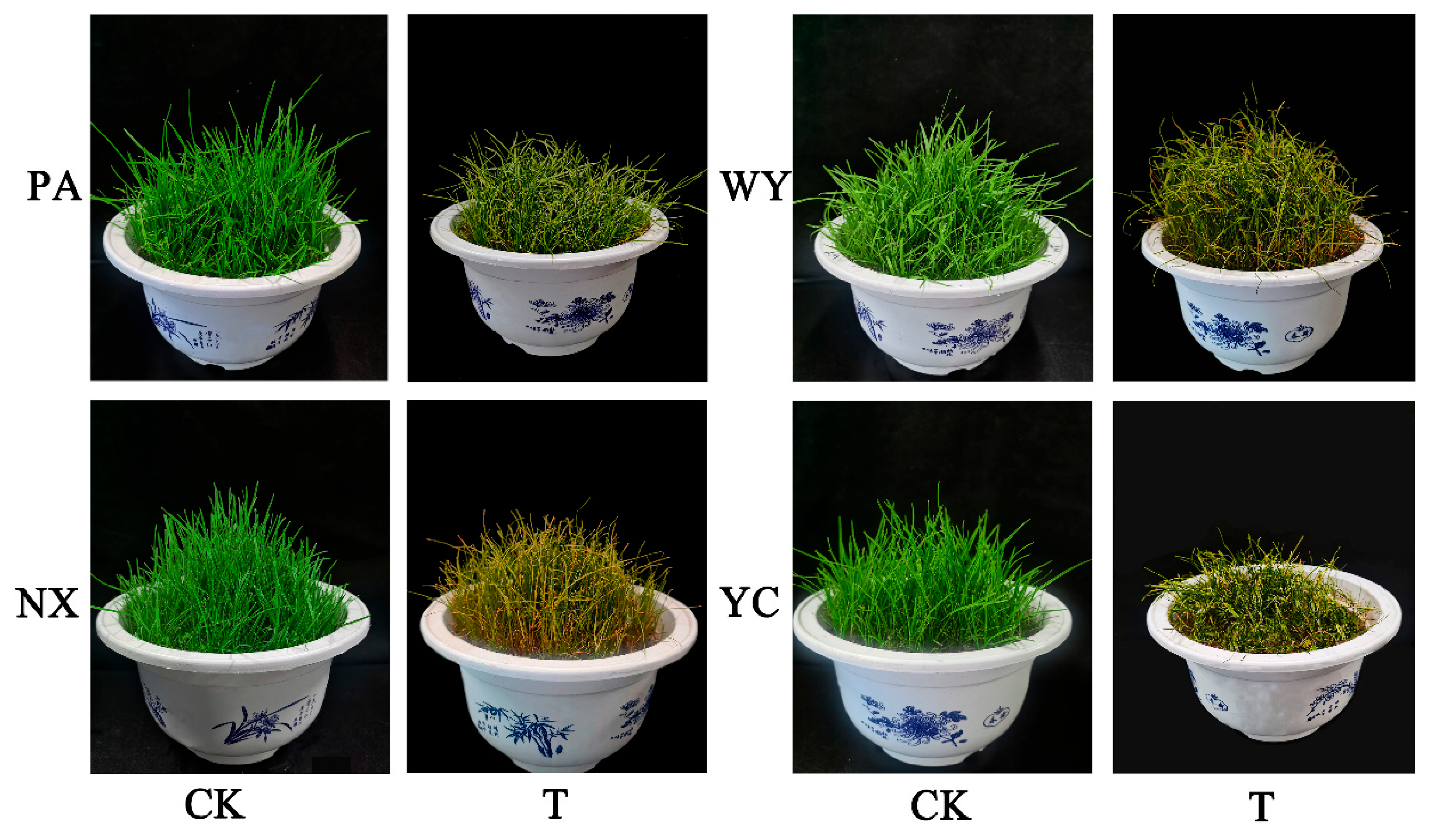 Agriculture 13 01781 g002