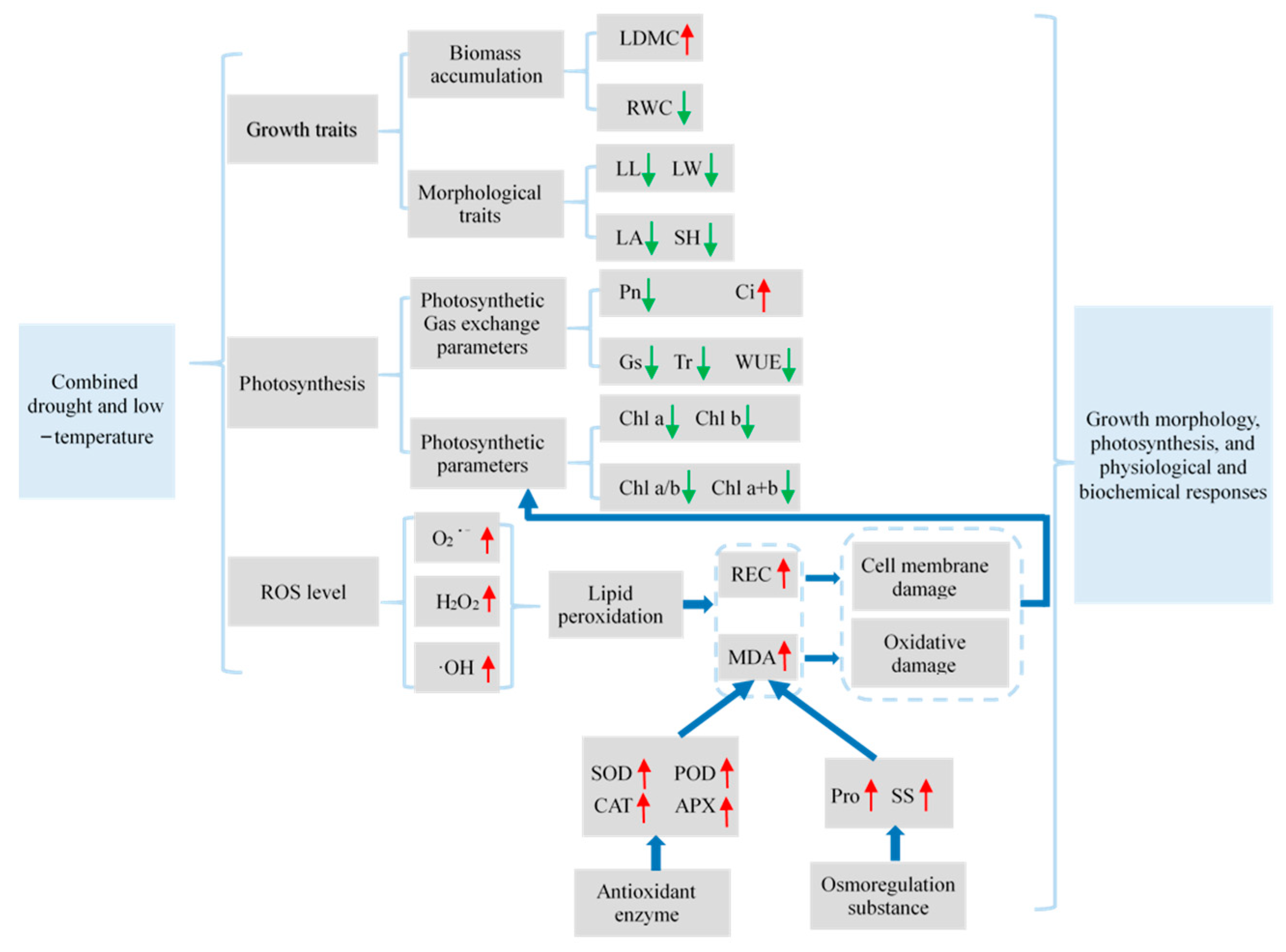 Agriculture 13 01781 g011