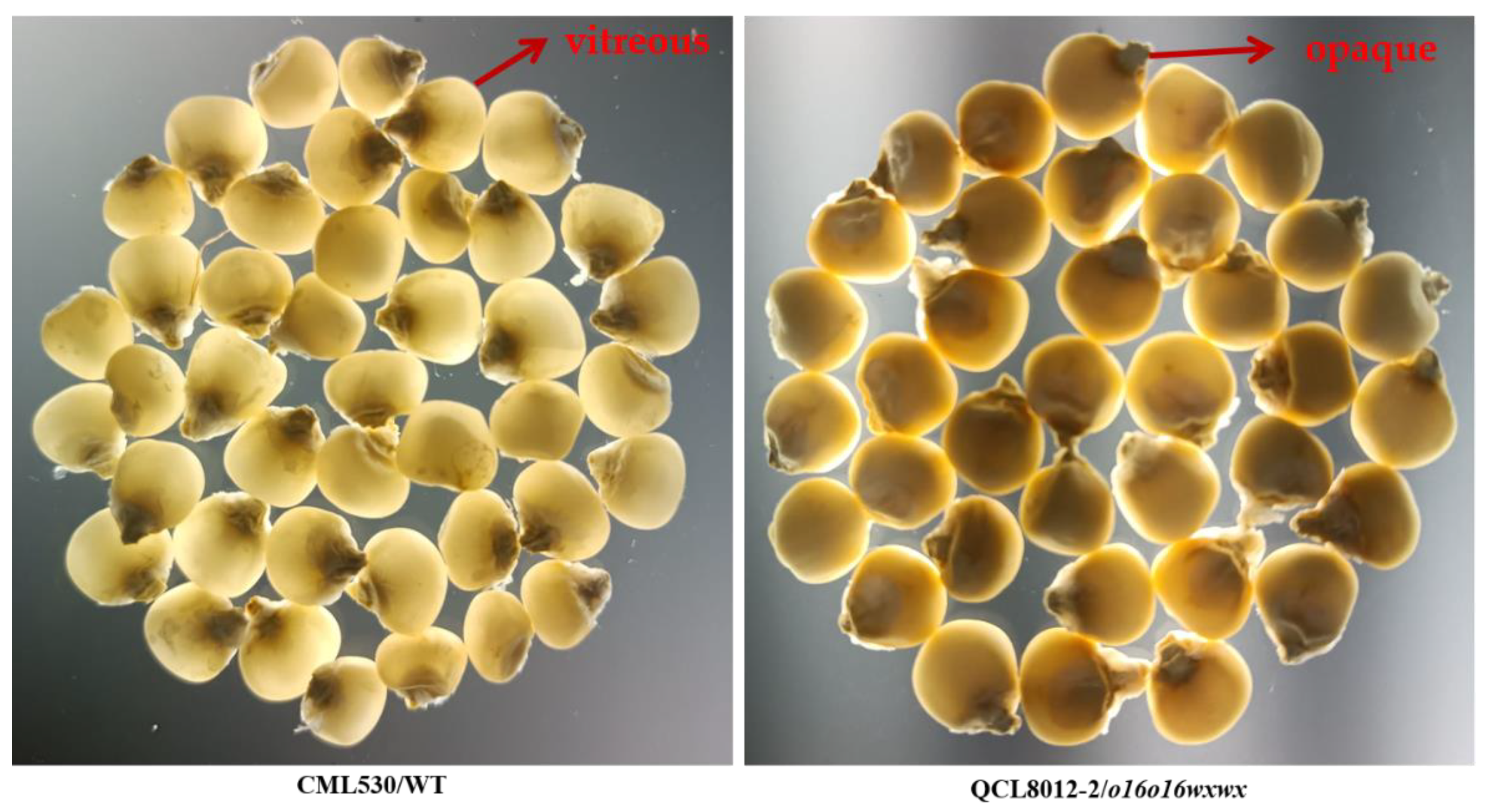 Agriculture 13 01791 g002