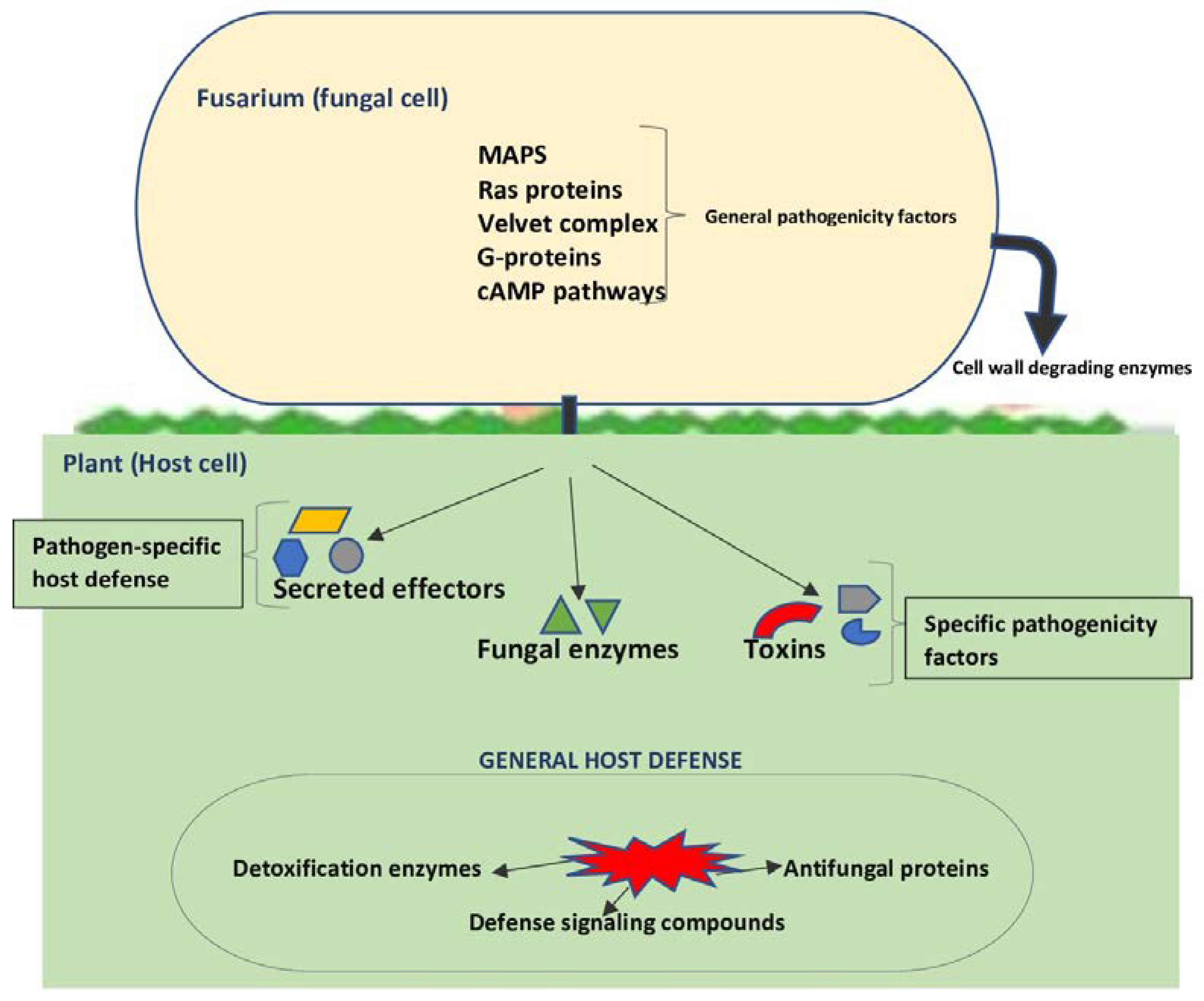 Agriculture 13 01810 g002