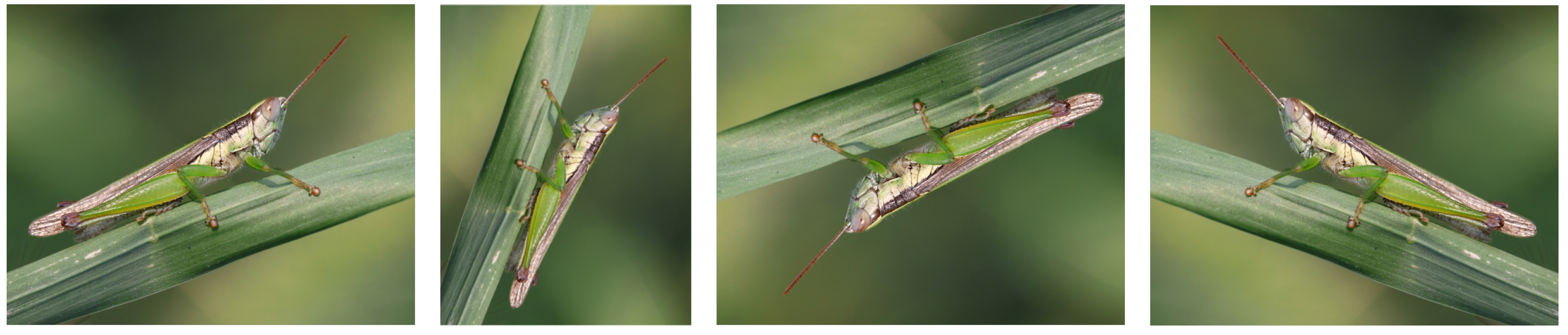 Agriculture 13 01812 g002