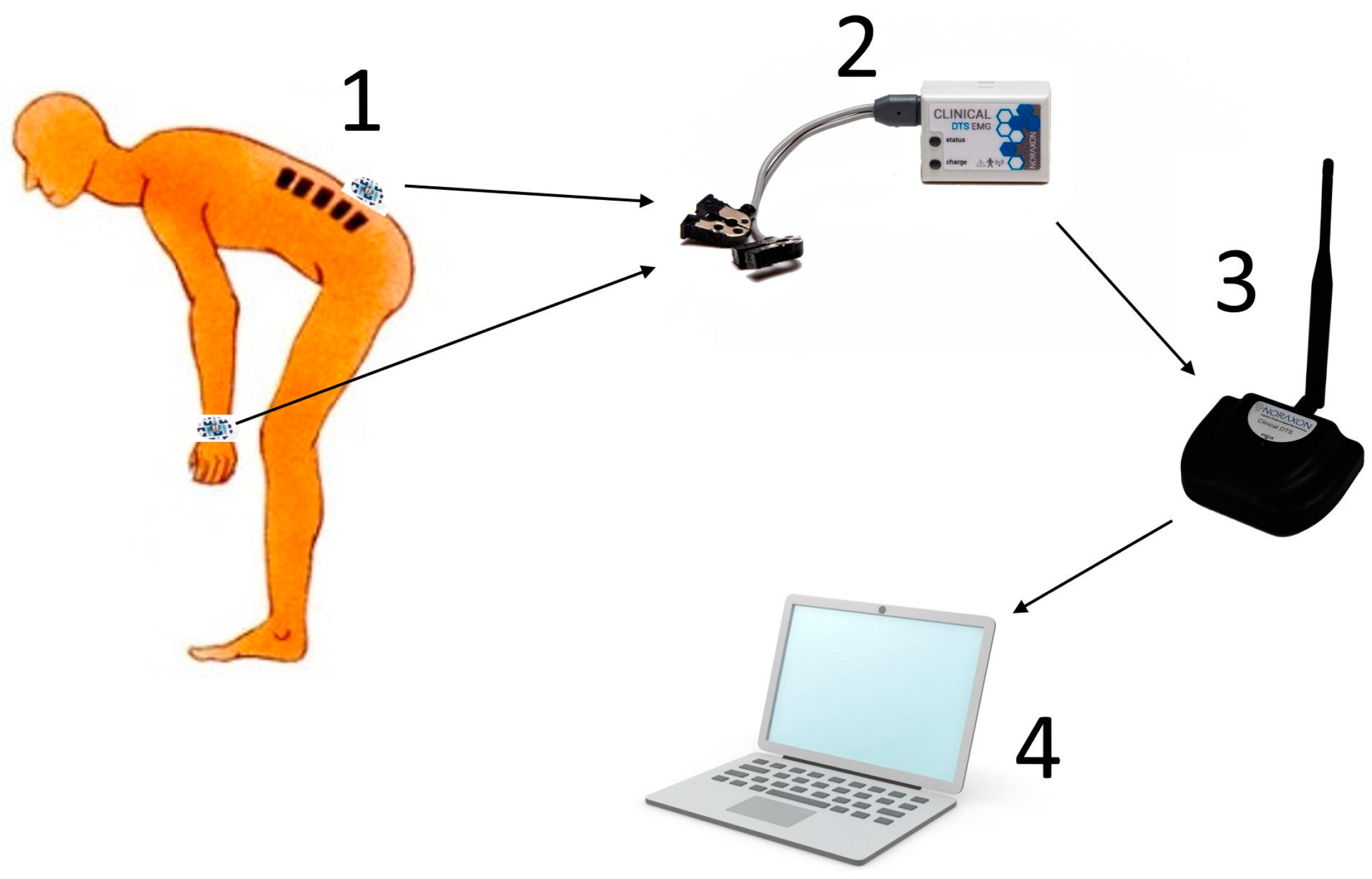 Agriculture 13 01831 g002