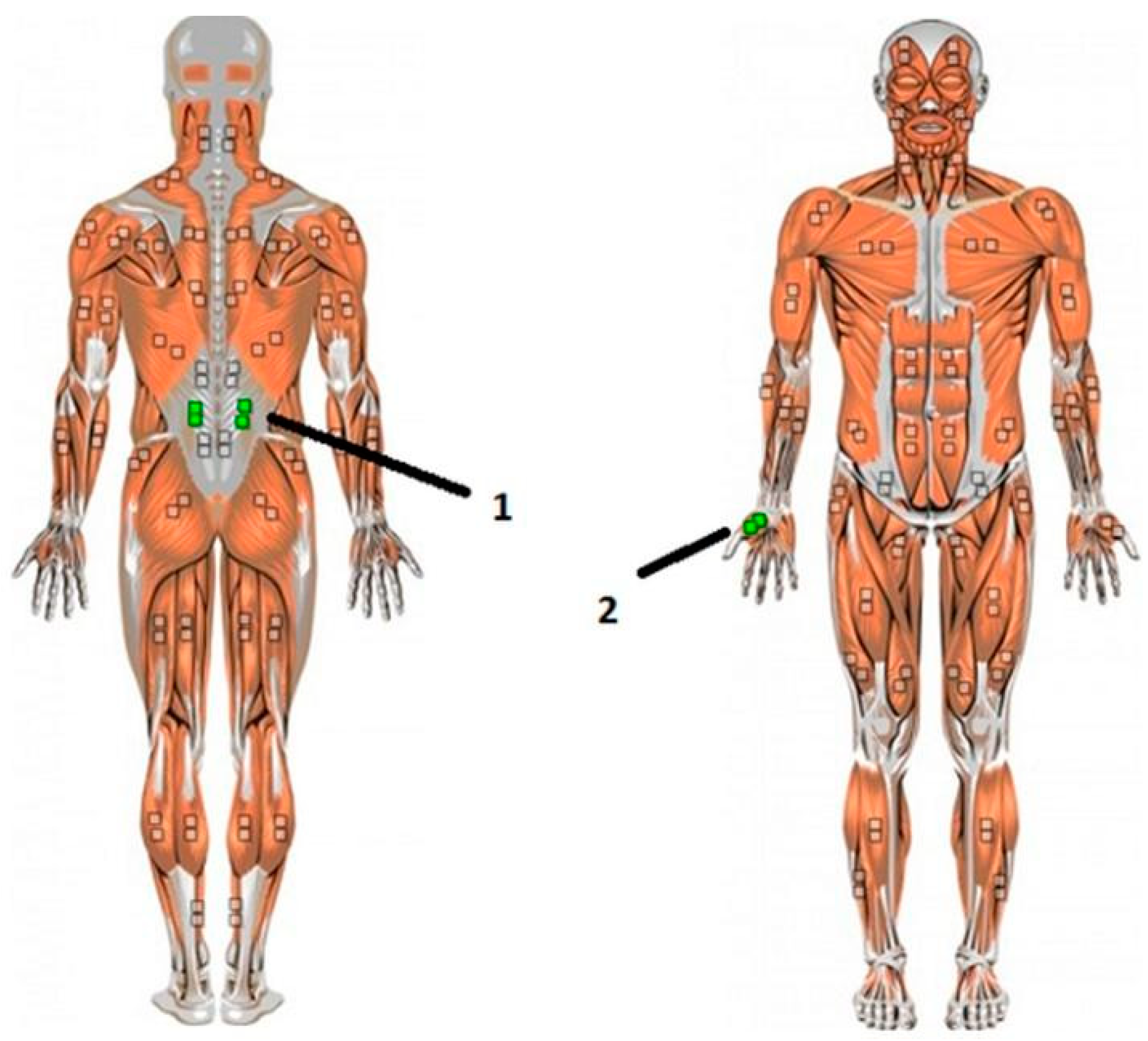 Agriculture 13 01831 g003