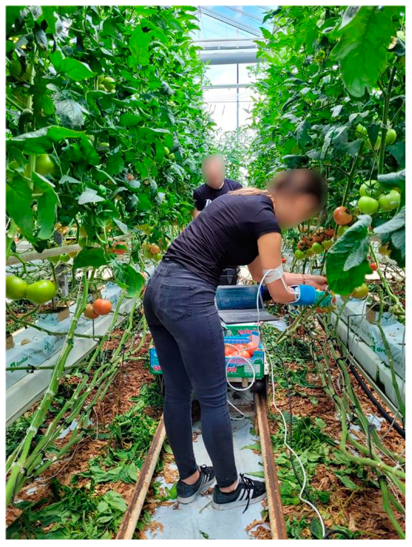 Agriculture 13 01831 g011