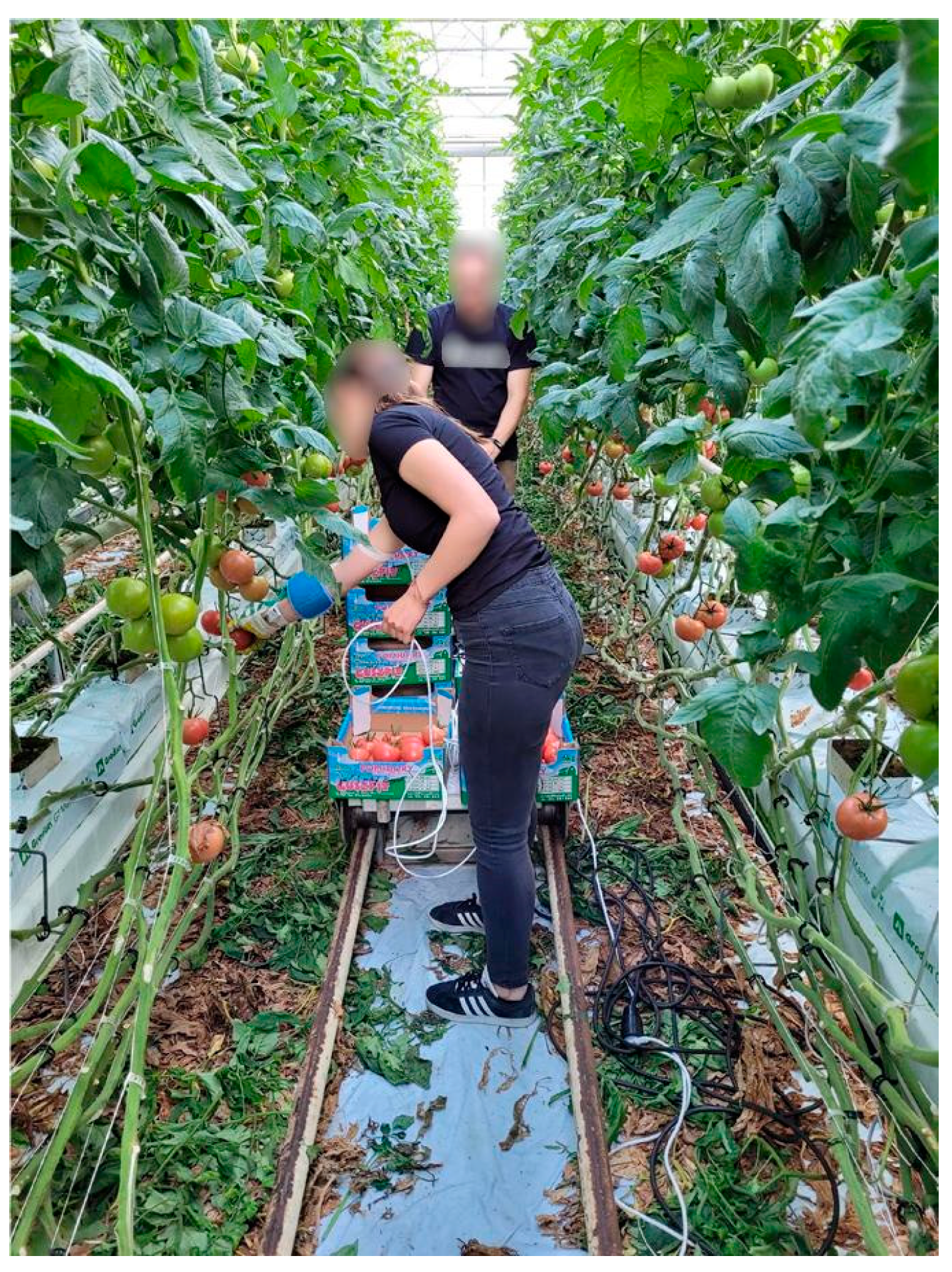 Agriculture 13 01831 g014