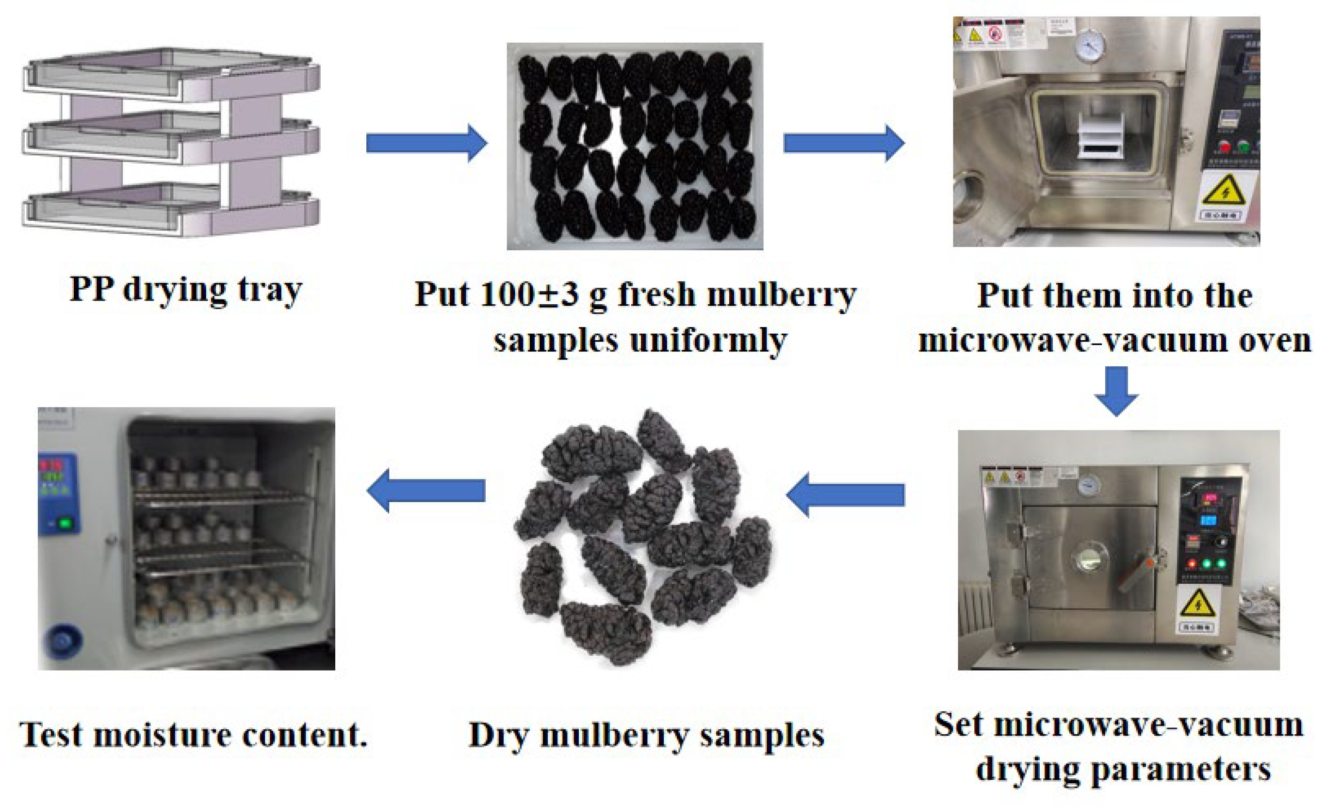 Agriculture 13 01843 g001