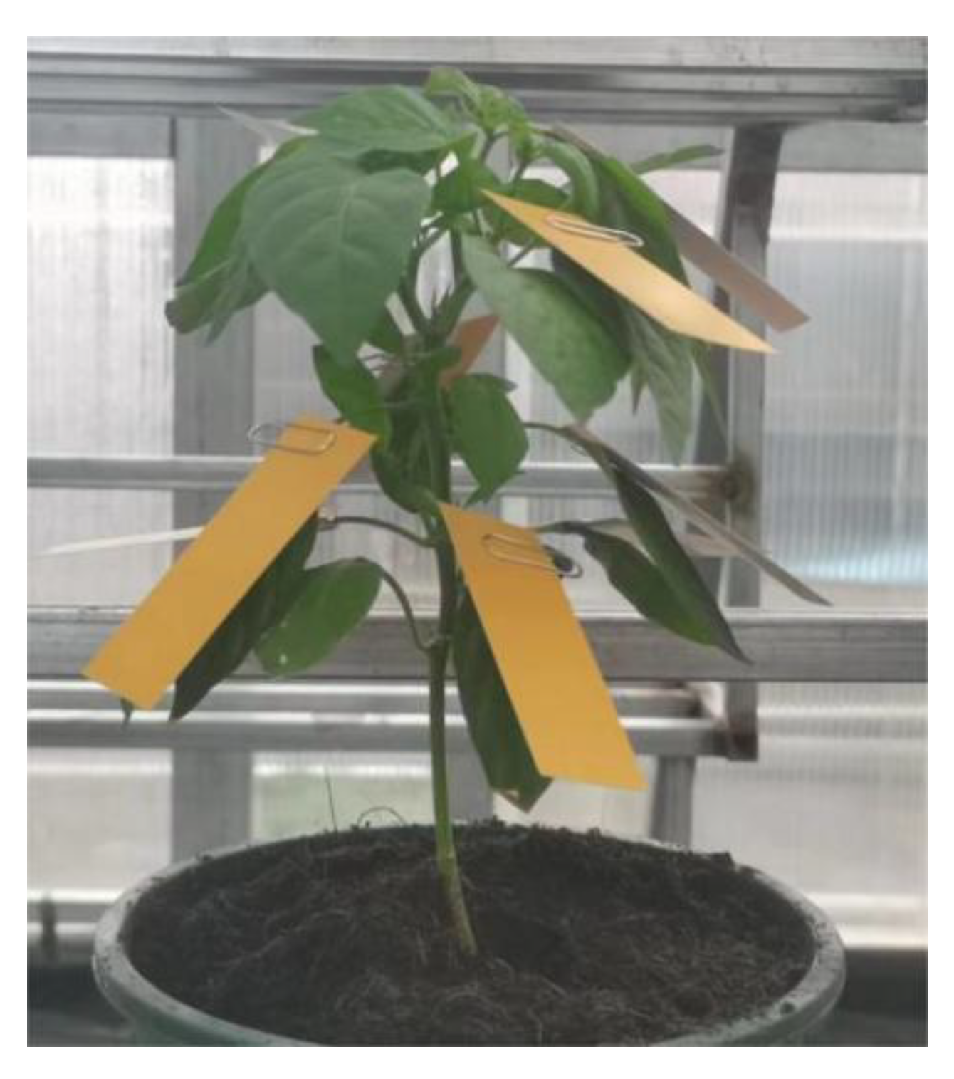 Agriculture 13 01853 g011