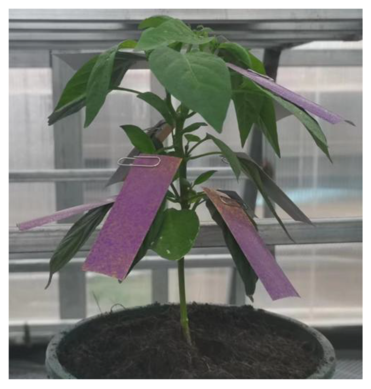 Agriculture 13 01853 g012