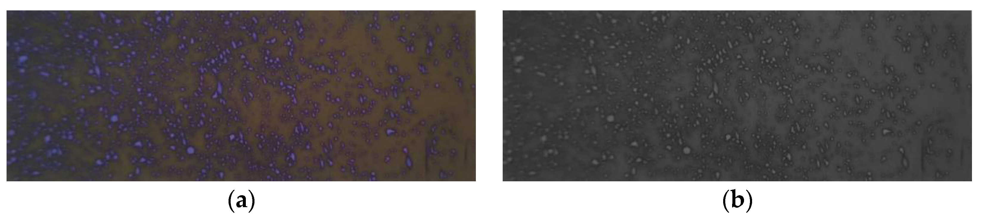 Agriculture 13 01853 g013