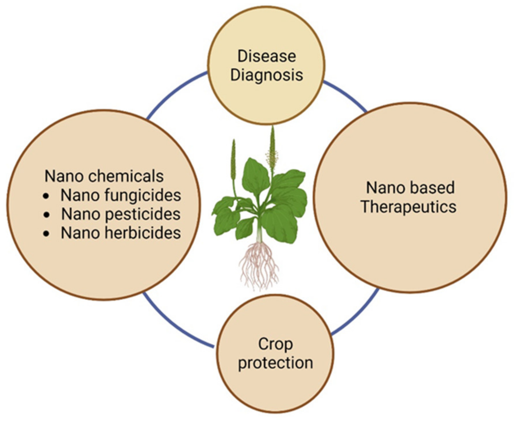 Agriculture 13 01856 g002