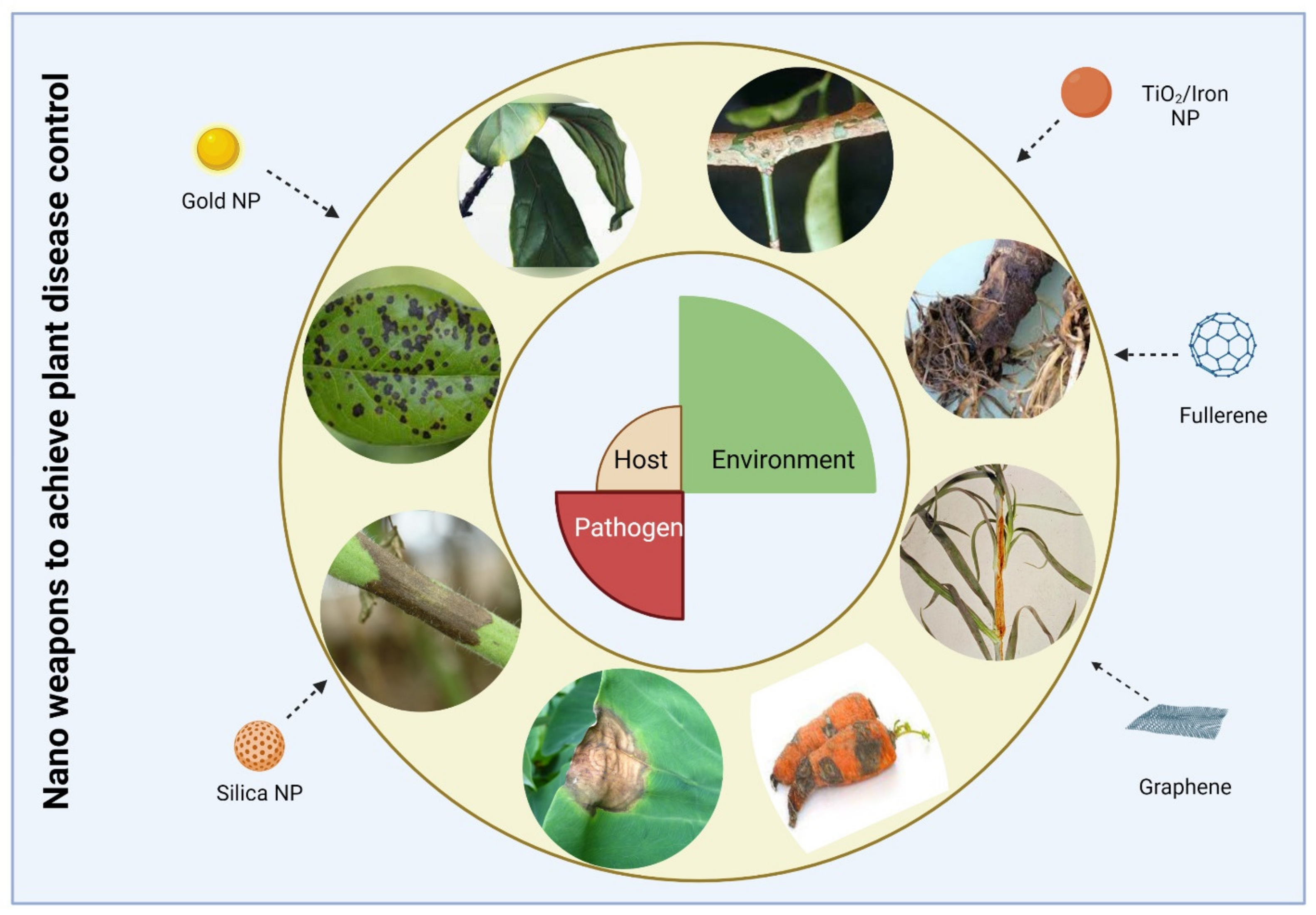 Agriculture 13 01856 g004