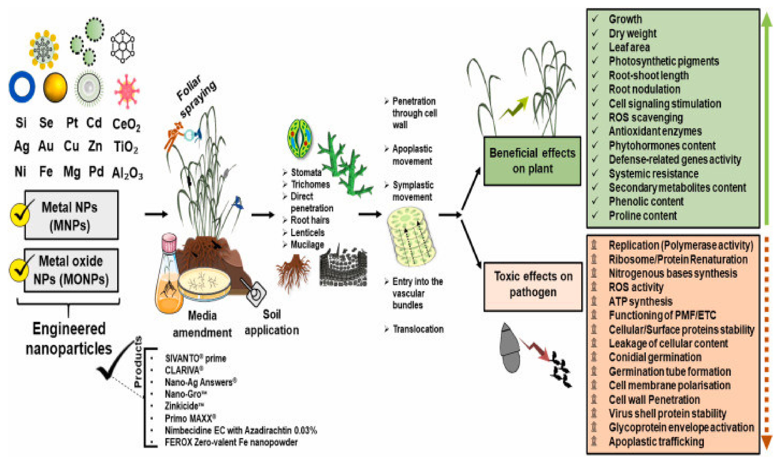 Agriculture 13 01856 g005