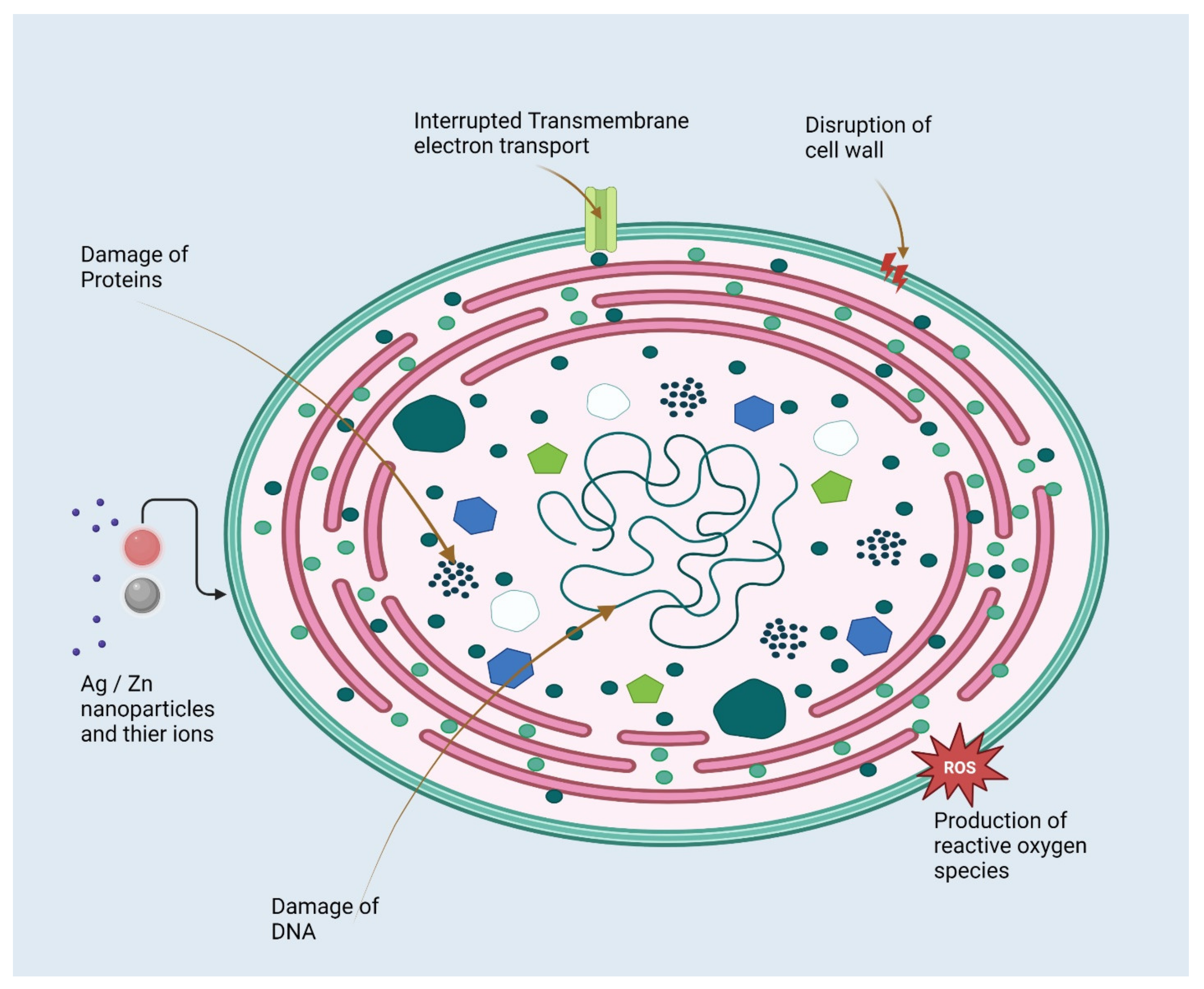 Agriculture 13 01856 g006