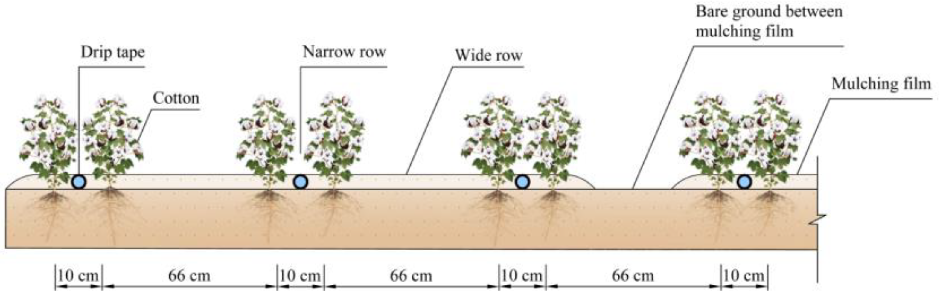 Agriculture 13 01864 g001
