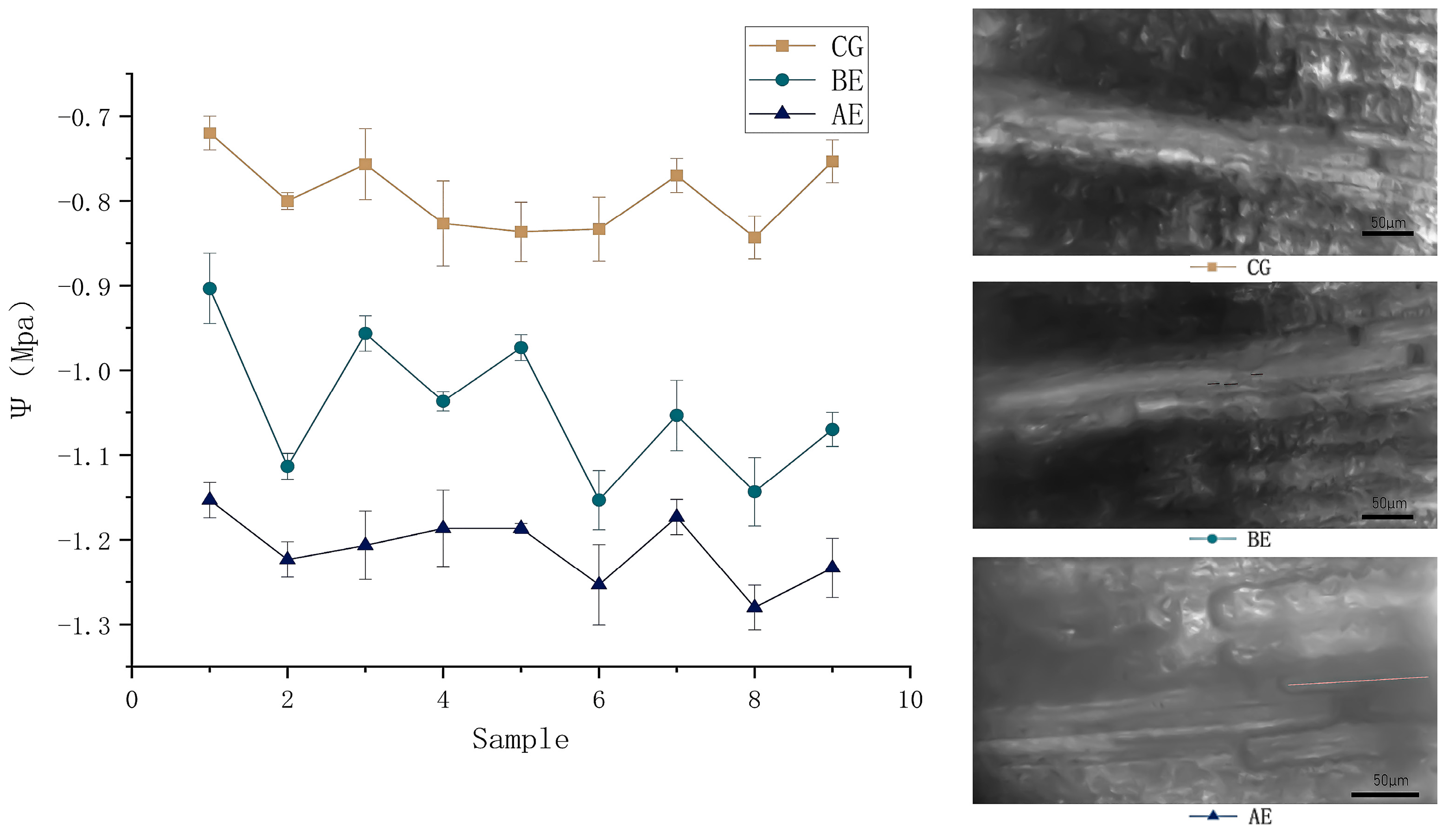 Agriculture 13 01867 g005 Agriculture 13 01867 g005