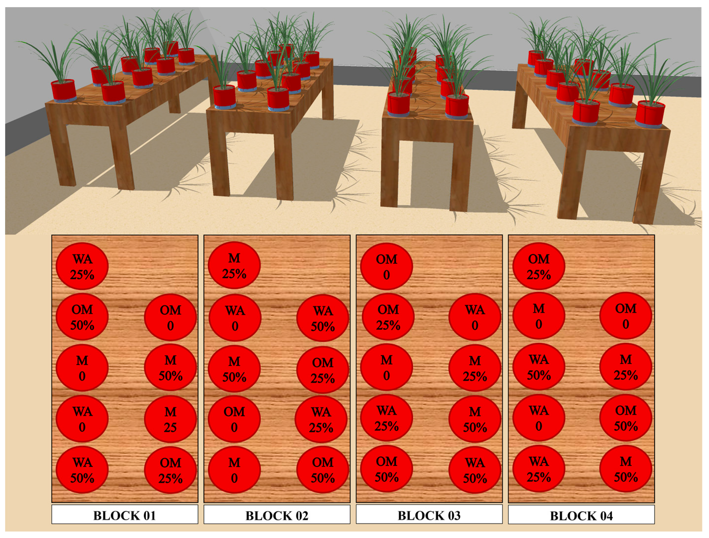 Agriculture 13 01872 g001