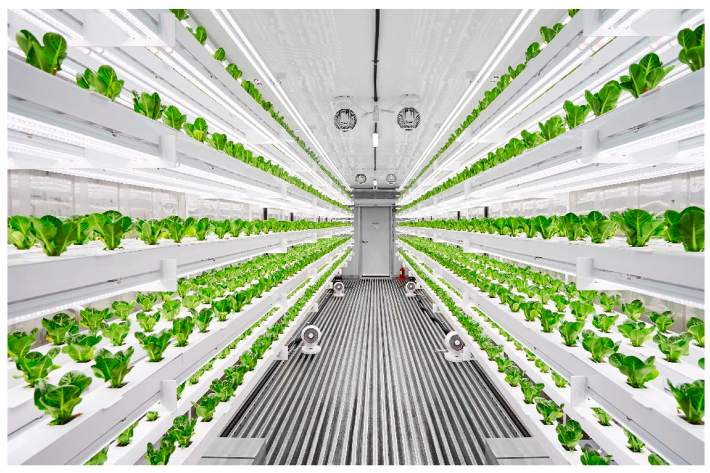 Agriculture 13 01874 g001