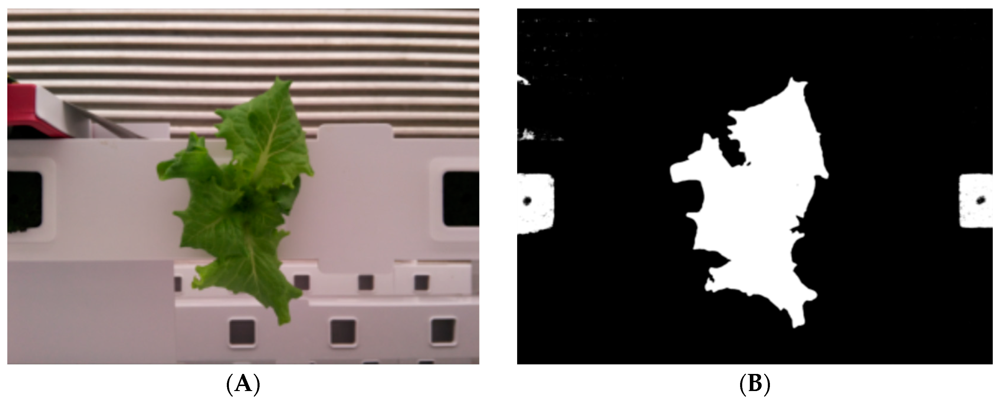 Agriculture 13 01874 g006