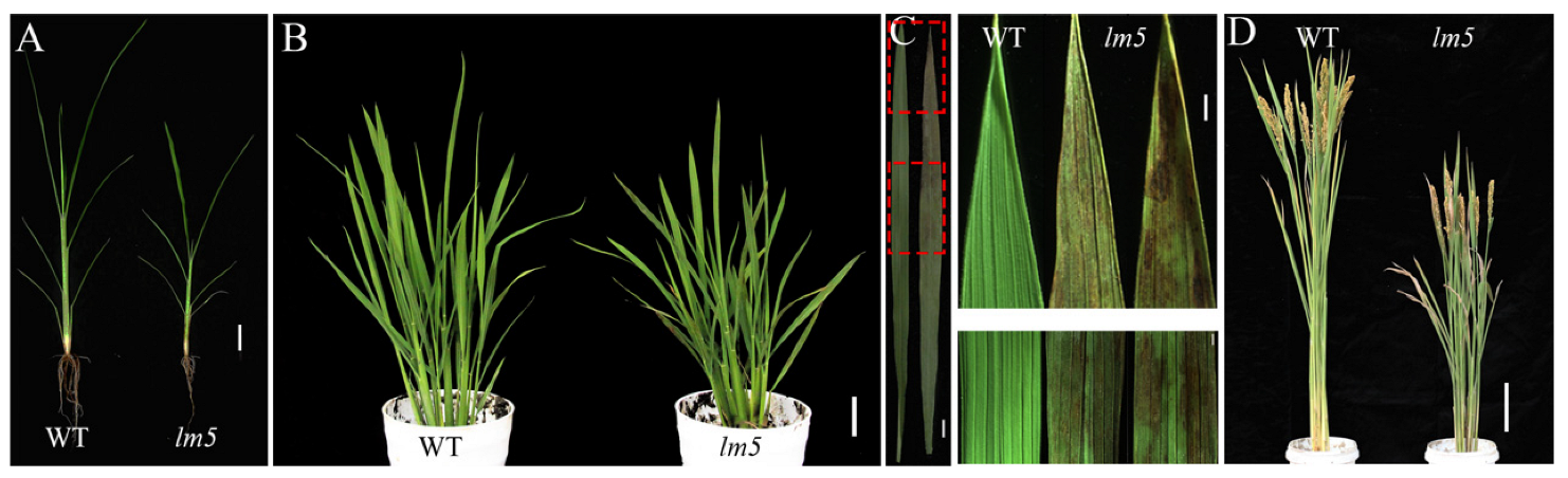 Agriculture 13 01875 g001
