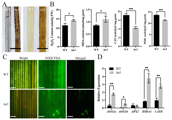 Agriculture 13 01875 g002