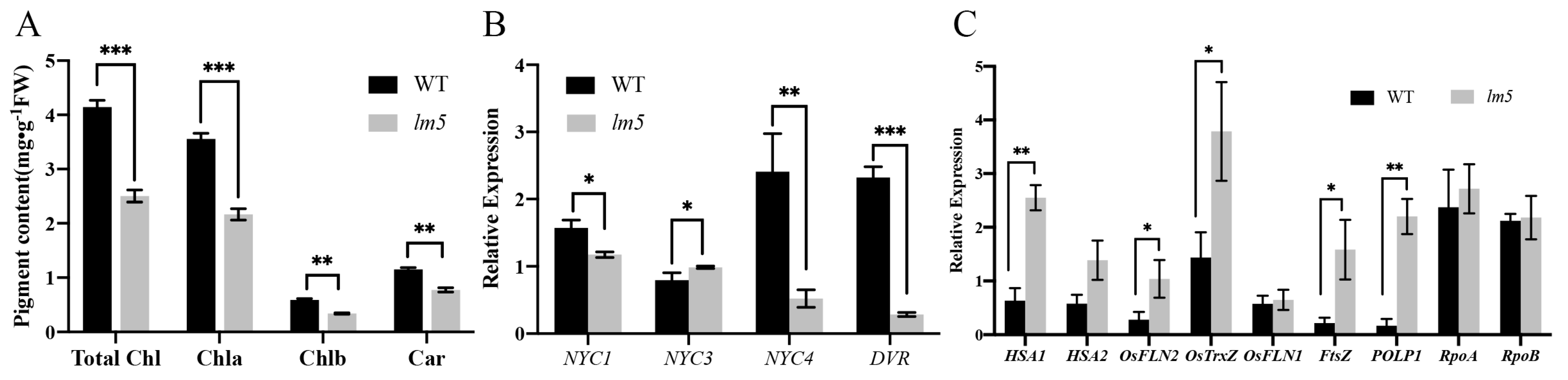 Agriculture 13 01875 g003