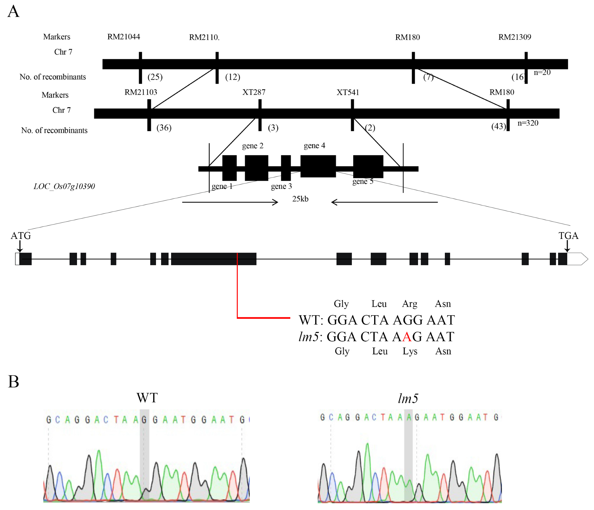 Agriculture 13 01875 g004