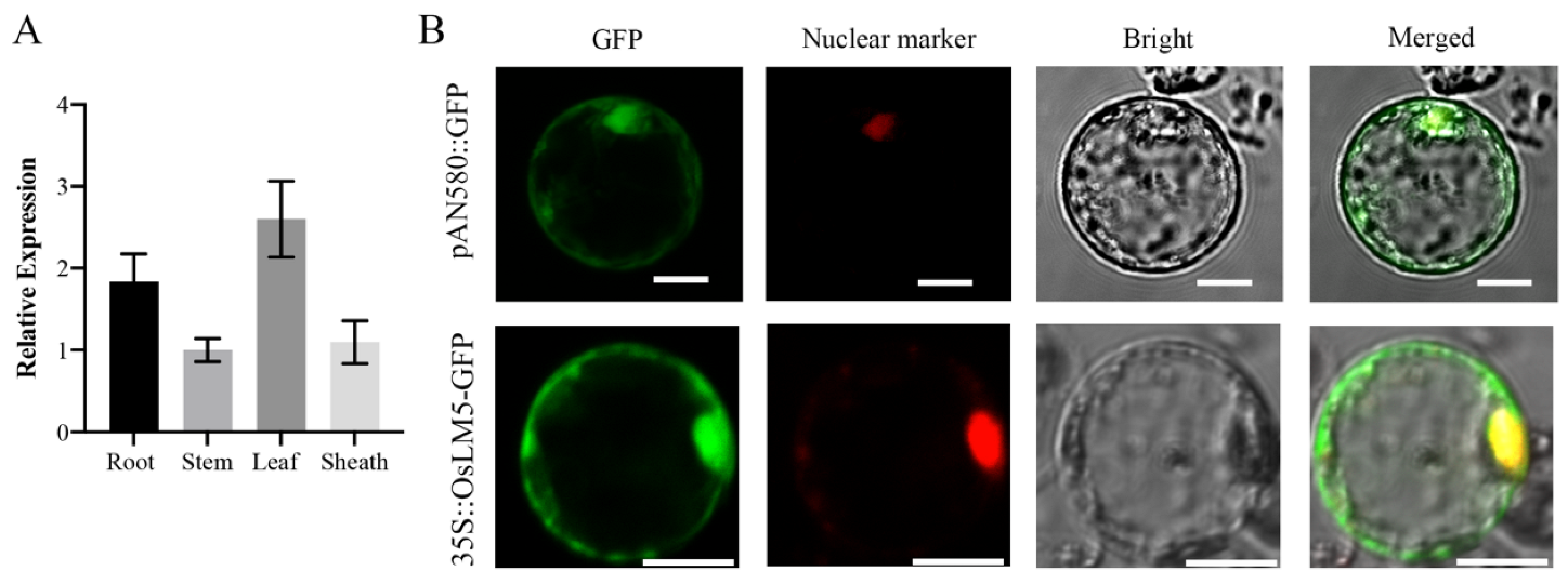 Agriculture 13 01875 g005