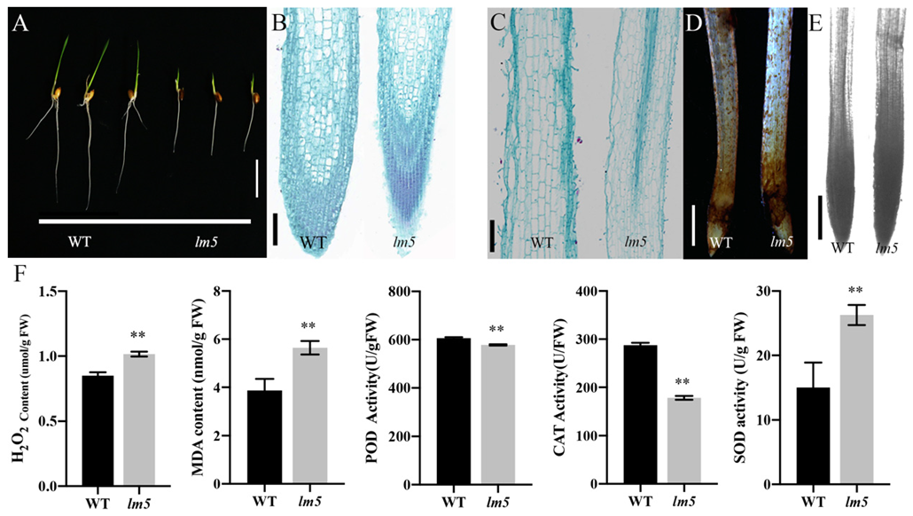 Agriculture 13 01875 g006