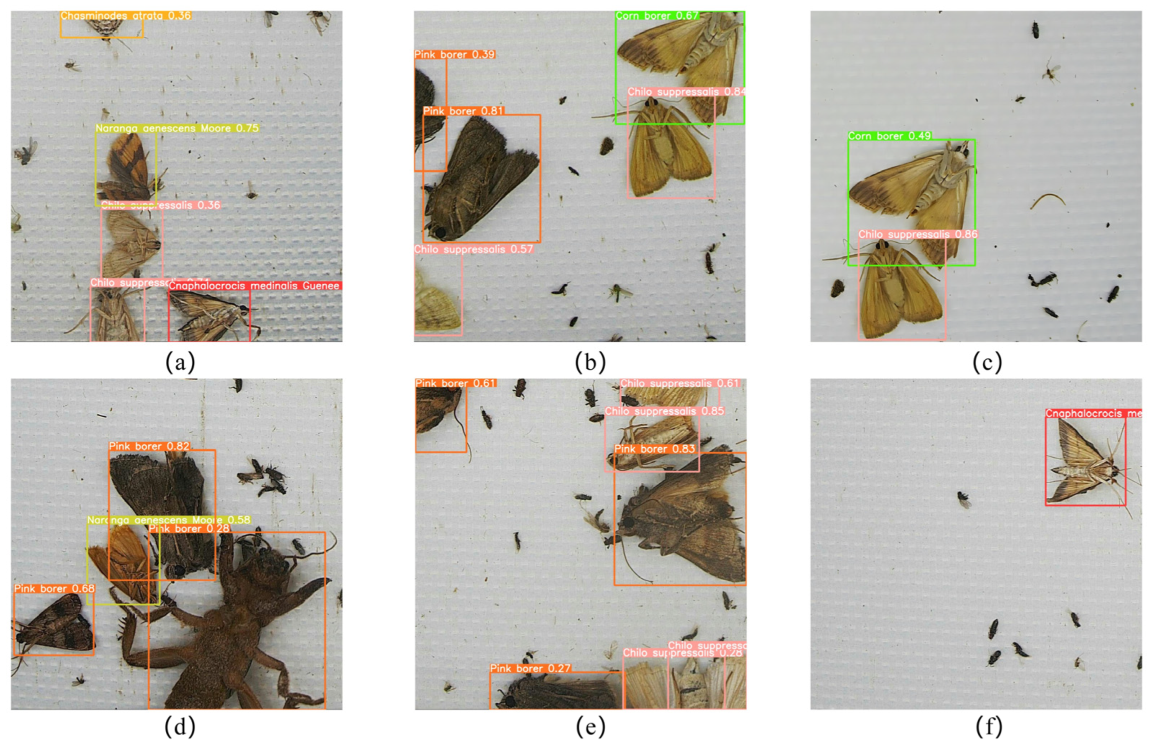 Agriculture 13 01878 g010