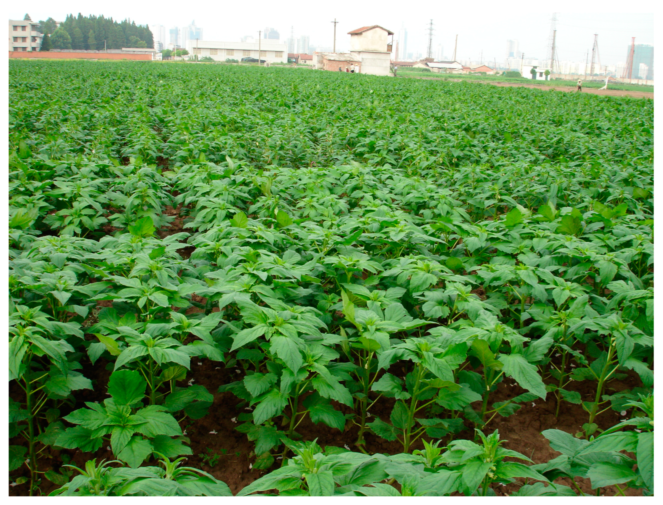 Agriculture 13 01885 g001