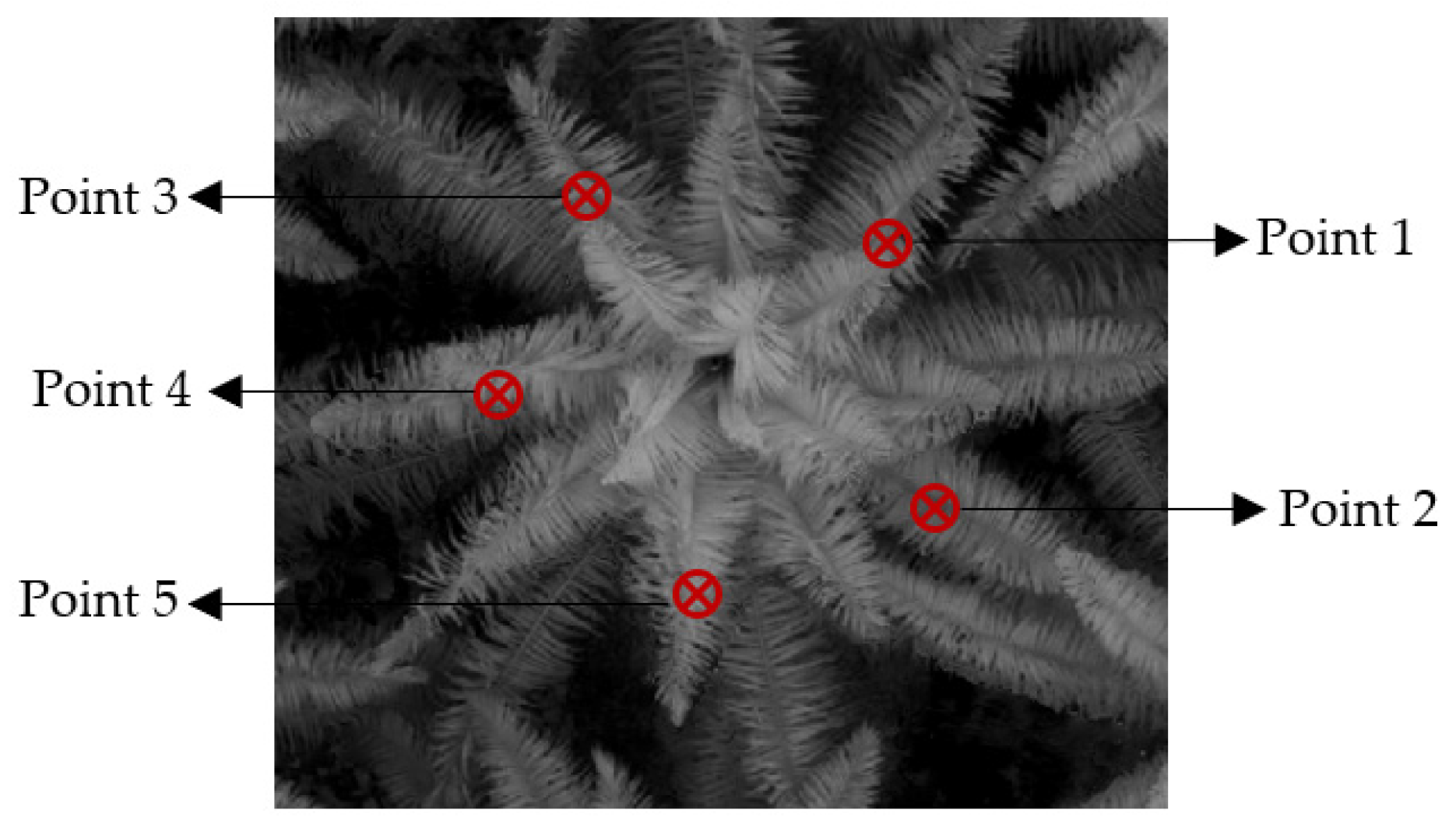 Agriculture 13 01886 g004