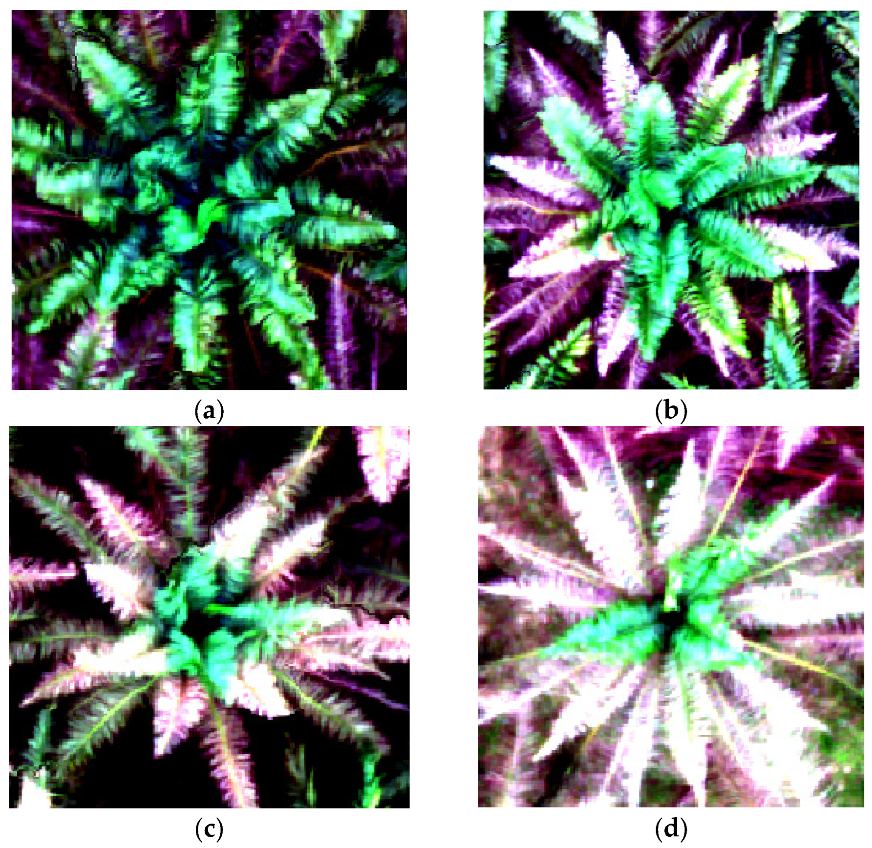 Agriculture 13 01886 g007