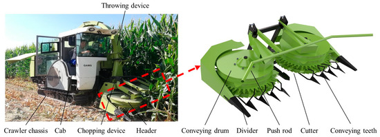 Modeling and Optimizing the Performance of Green Forage