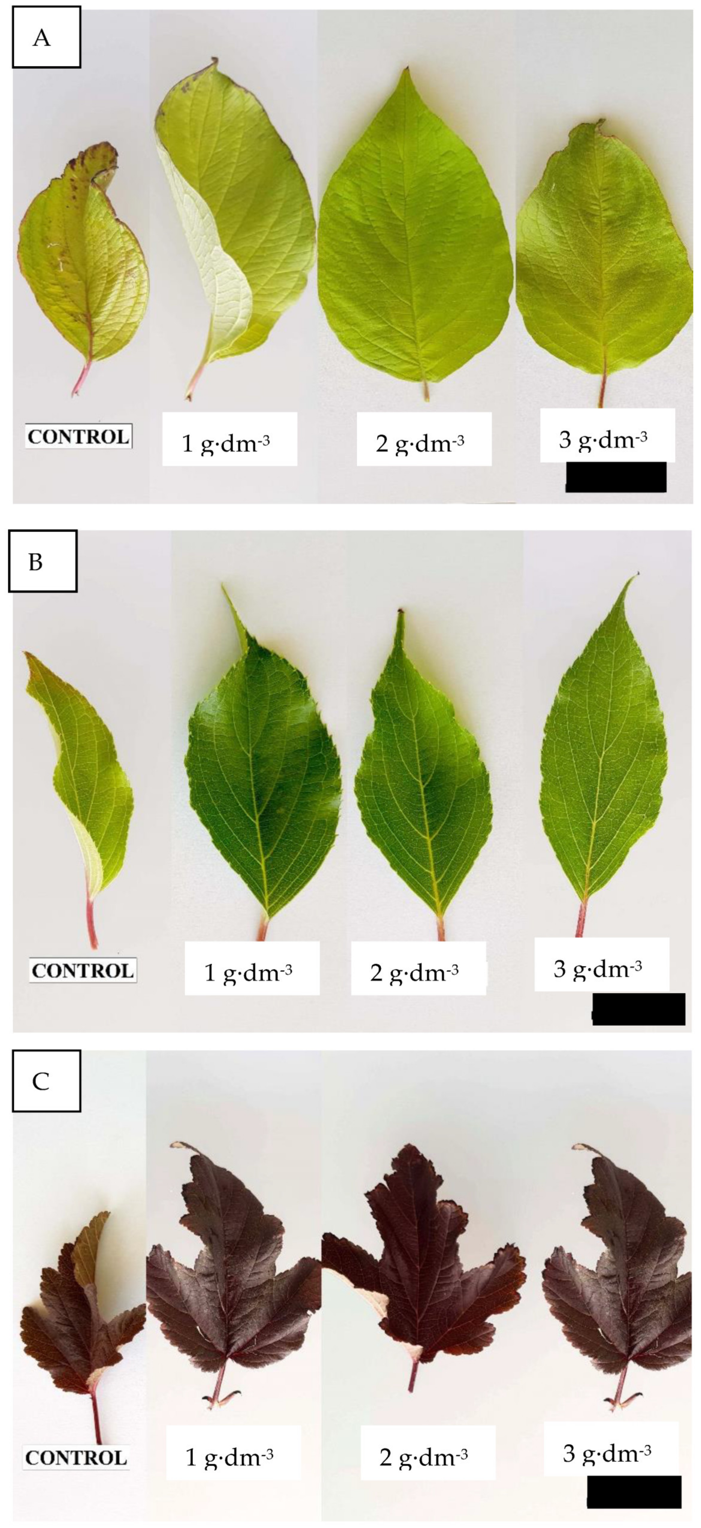 Agriculture 13 01893 g007