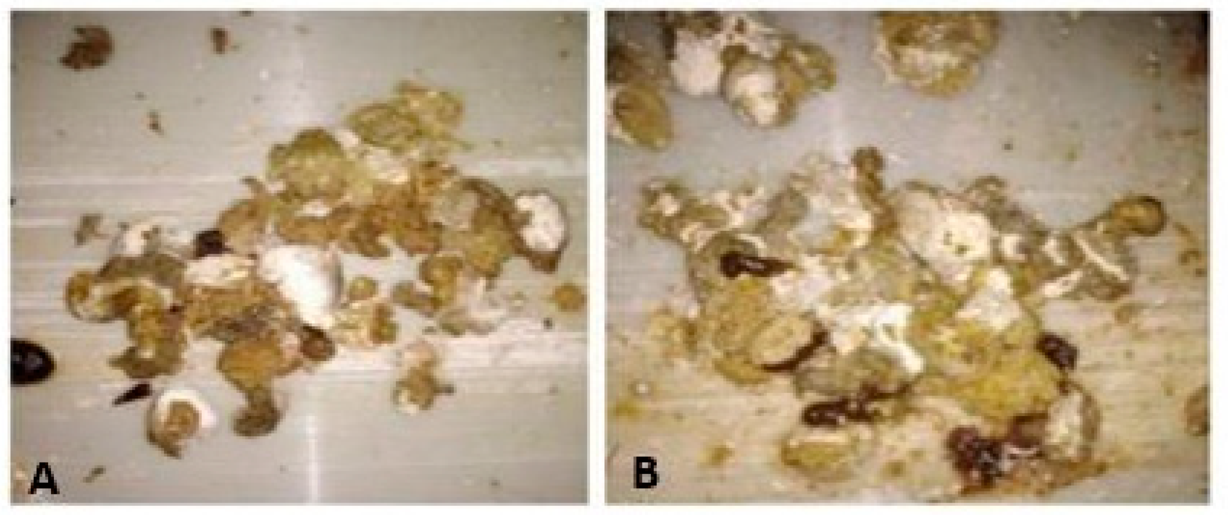 Agriculture 13 01906 g001 Agriculture 13 01906 g001