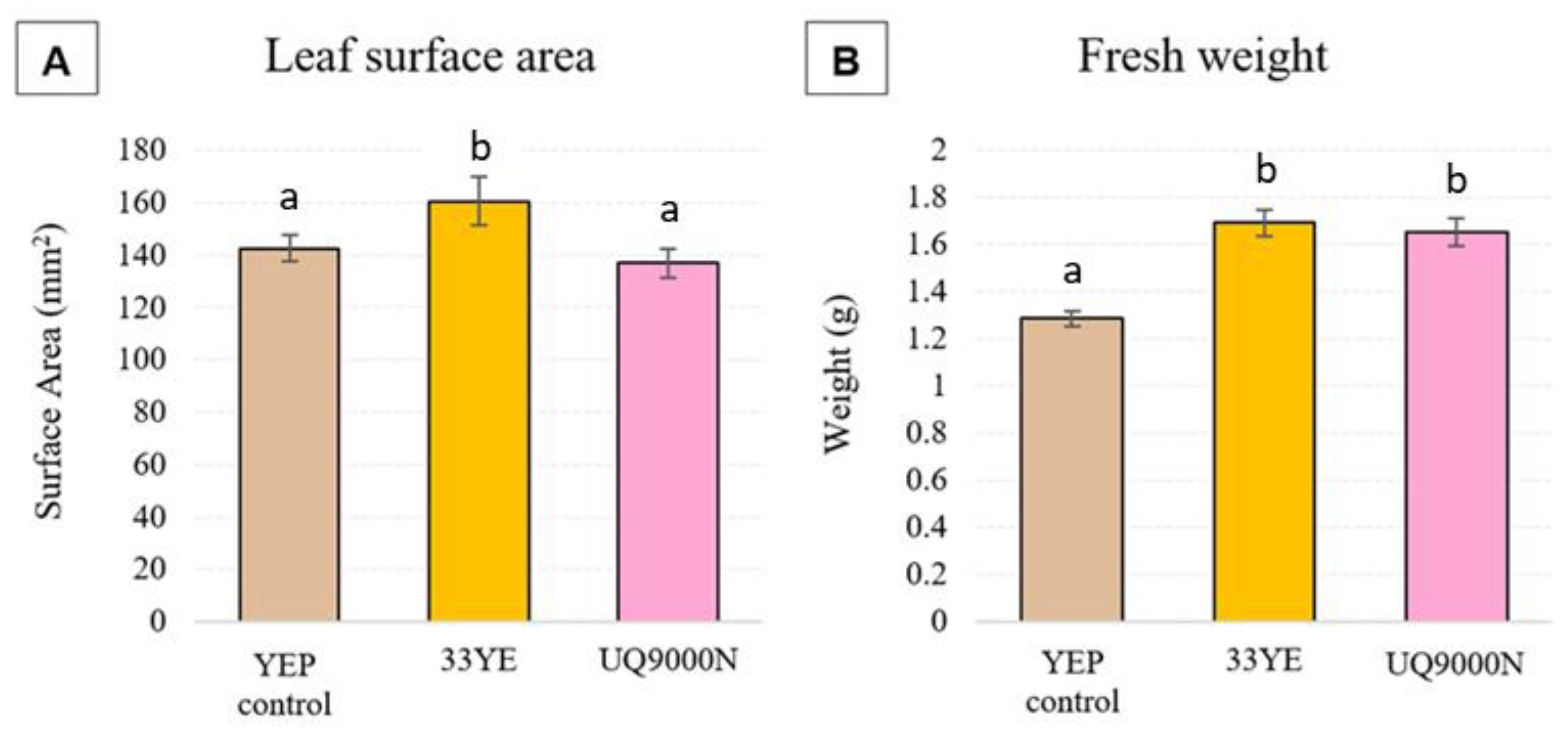 Agriculture 13 01911 g001