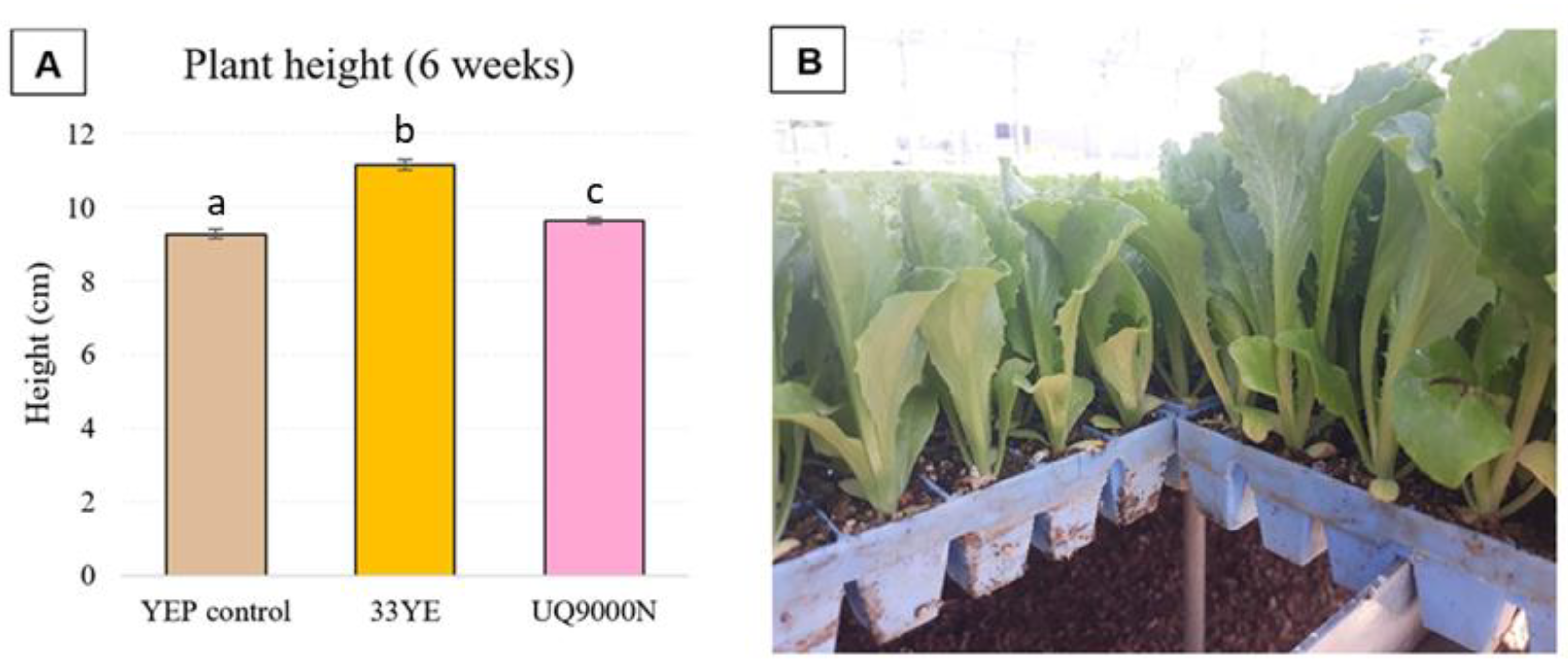 Agriculture 13 01911 g003