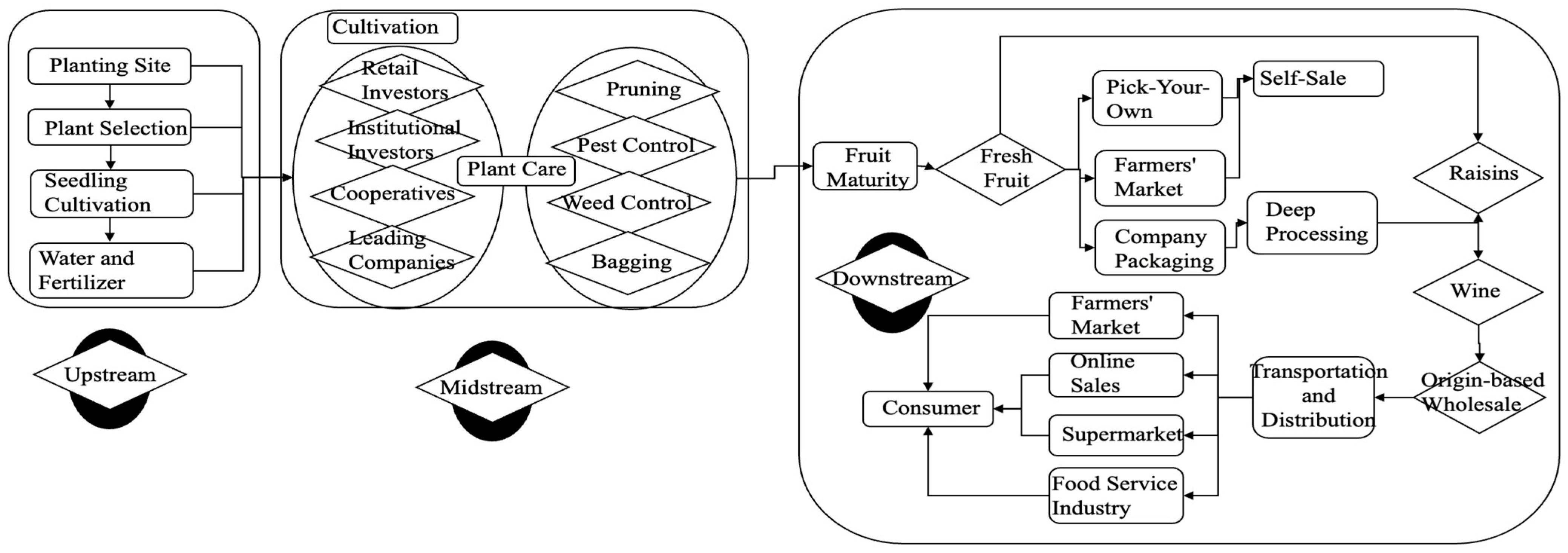 Agriculture 13 01915 g001