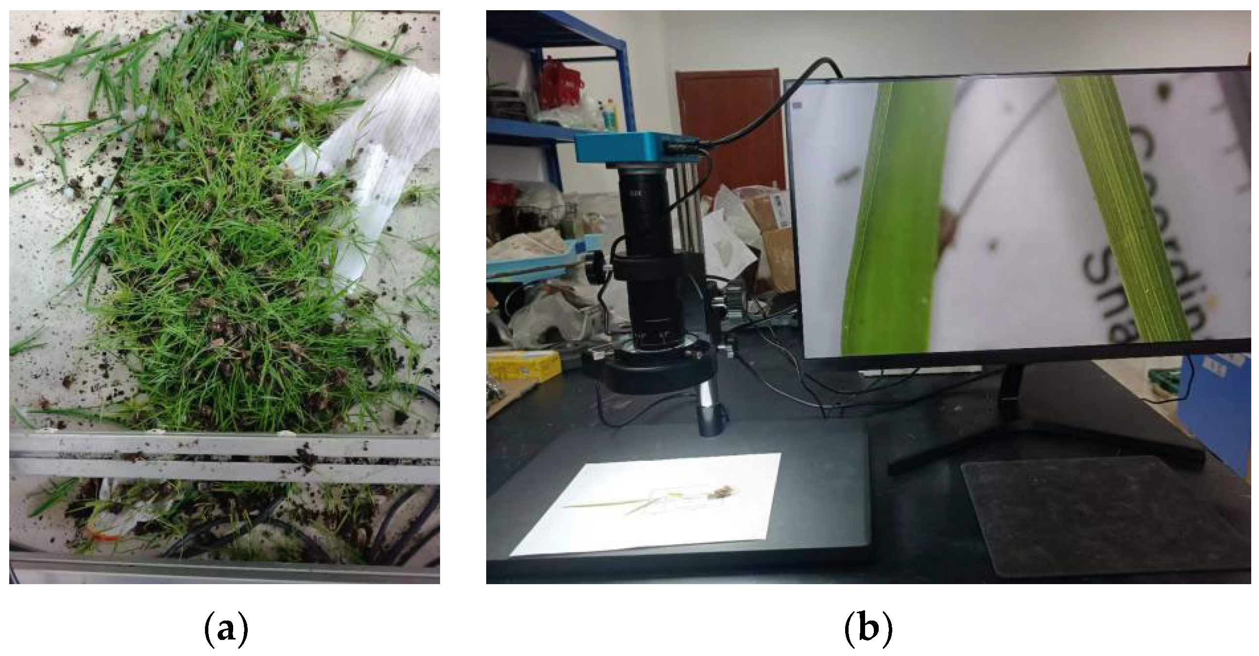 Agriculture 13 01920 g022