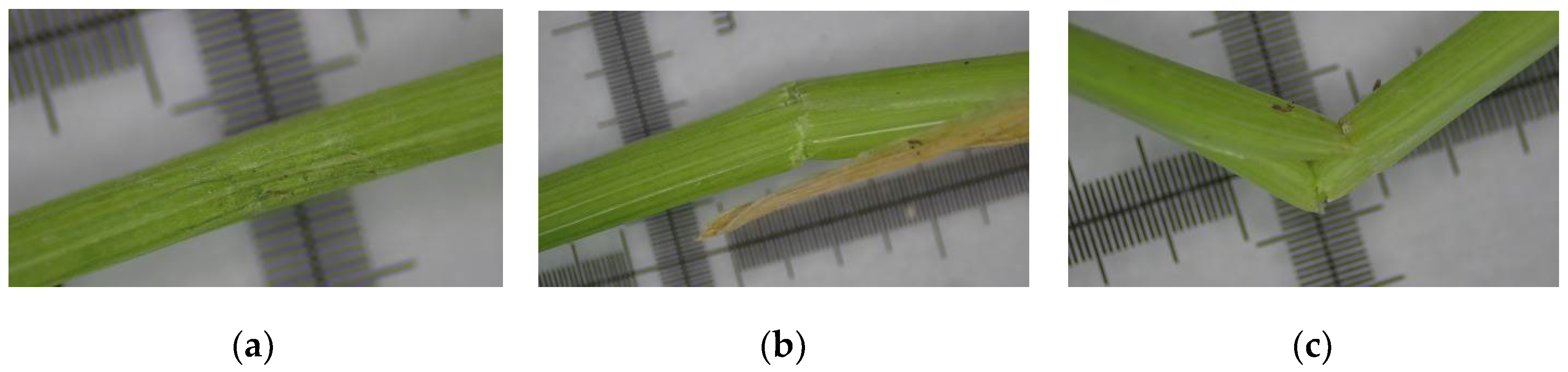 Agriculture 13 01920 g023