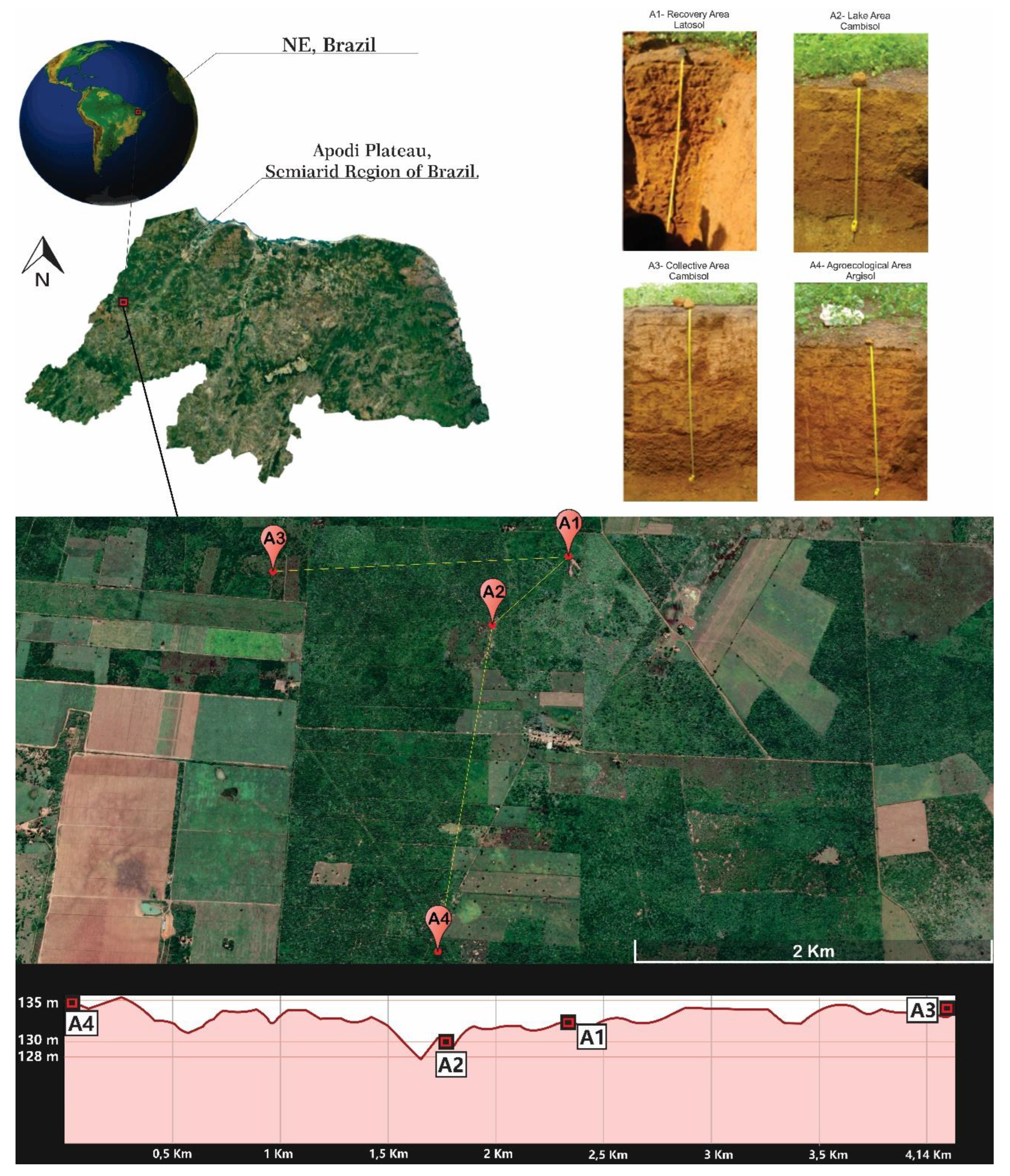 Agriculture 13 01921 g001