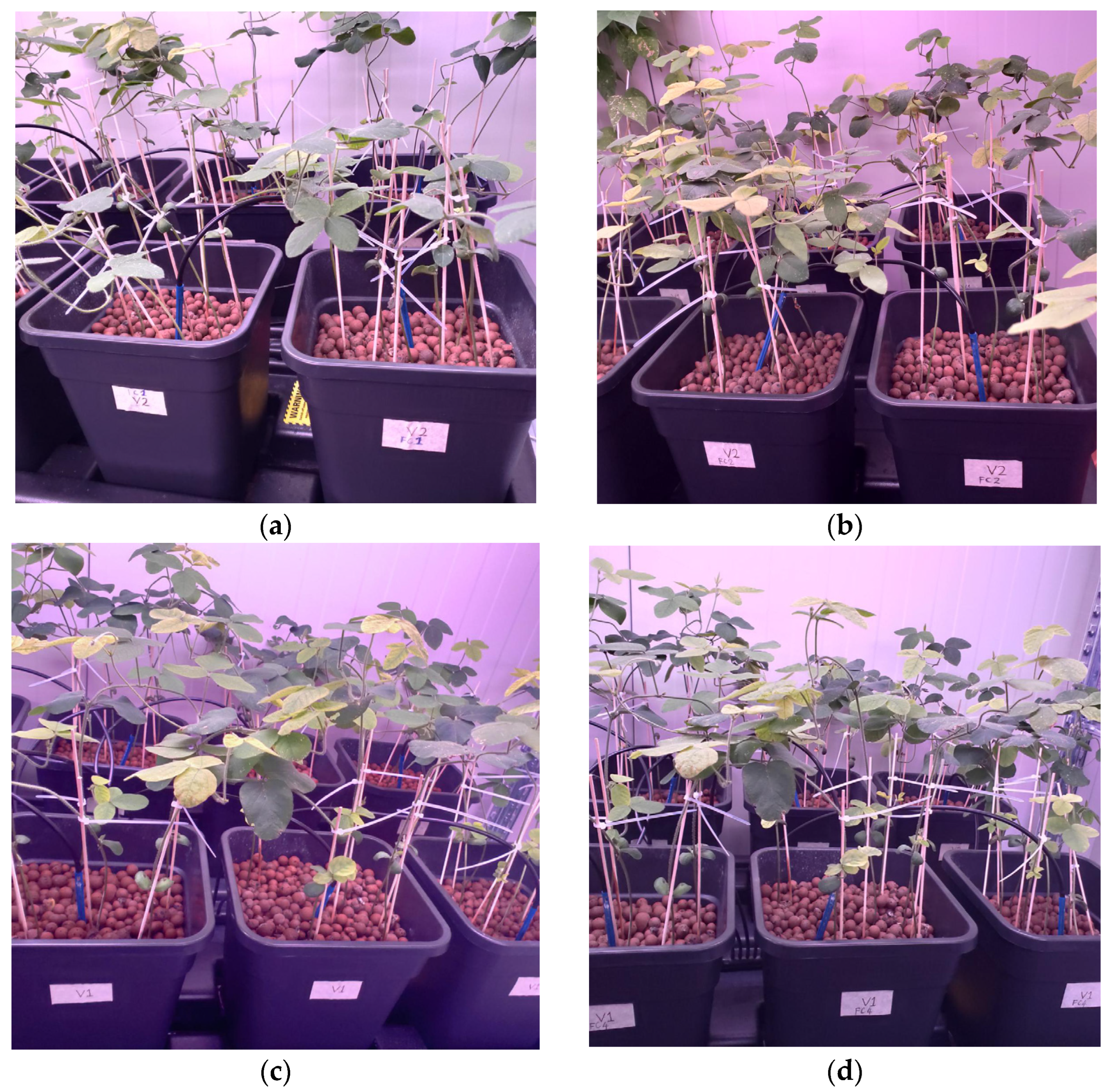 Agriculture 13 01925 g003