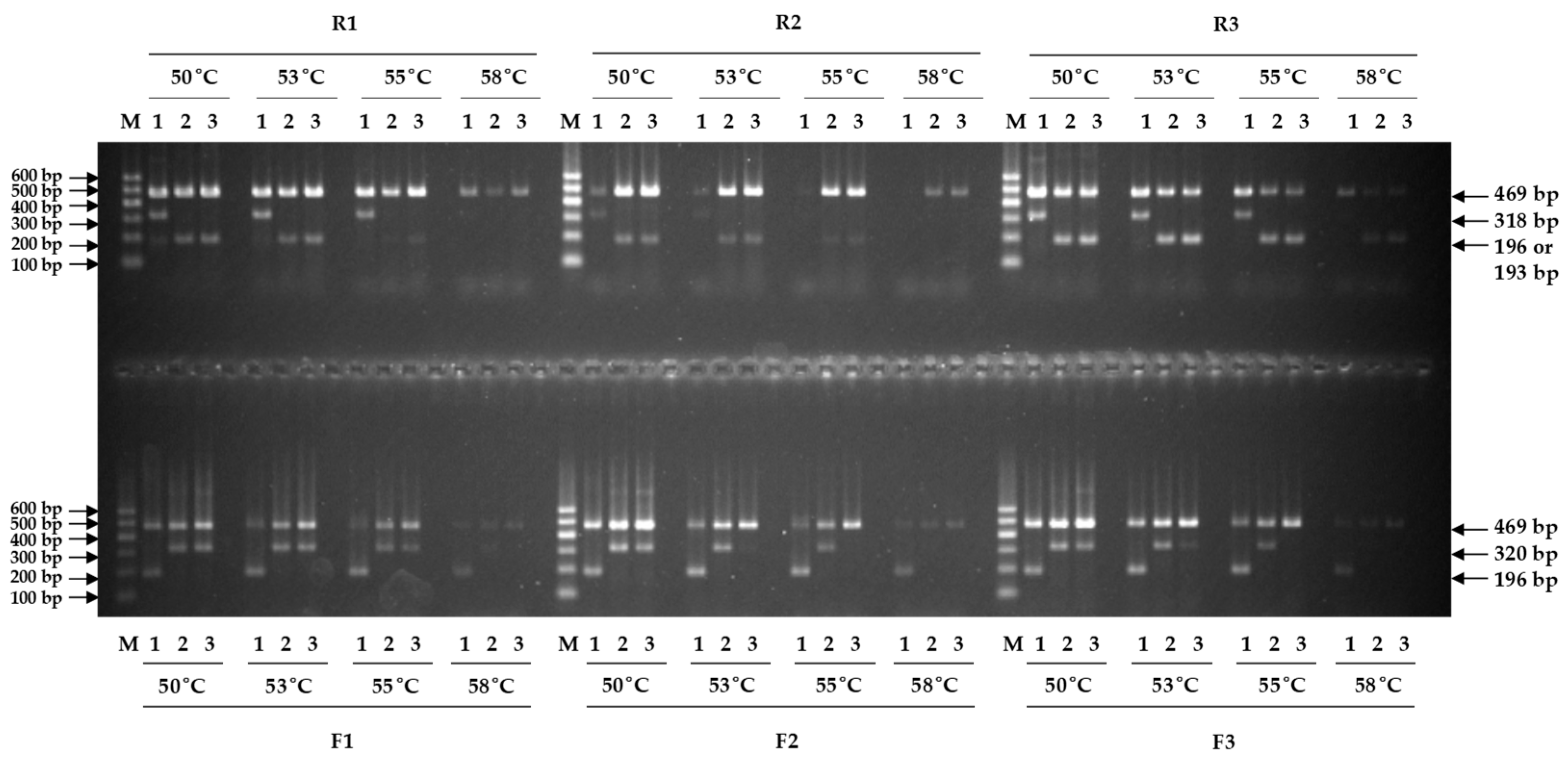 Agriculture 13 01926 g002