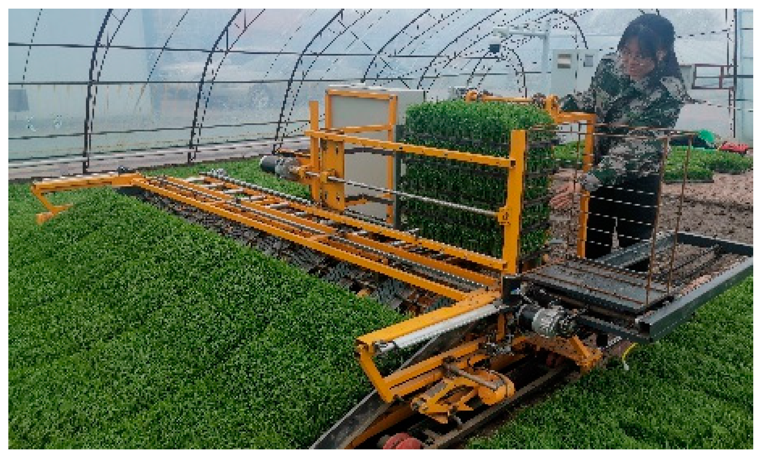 Agriculture 13 01929 g012