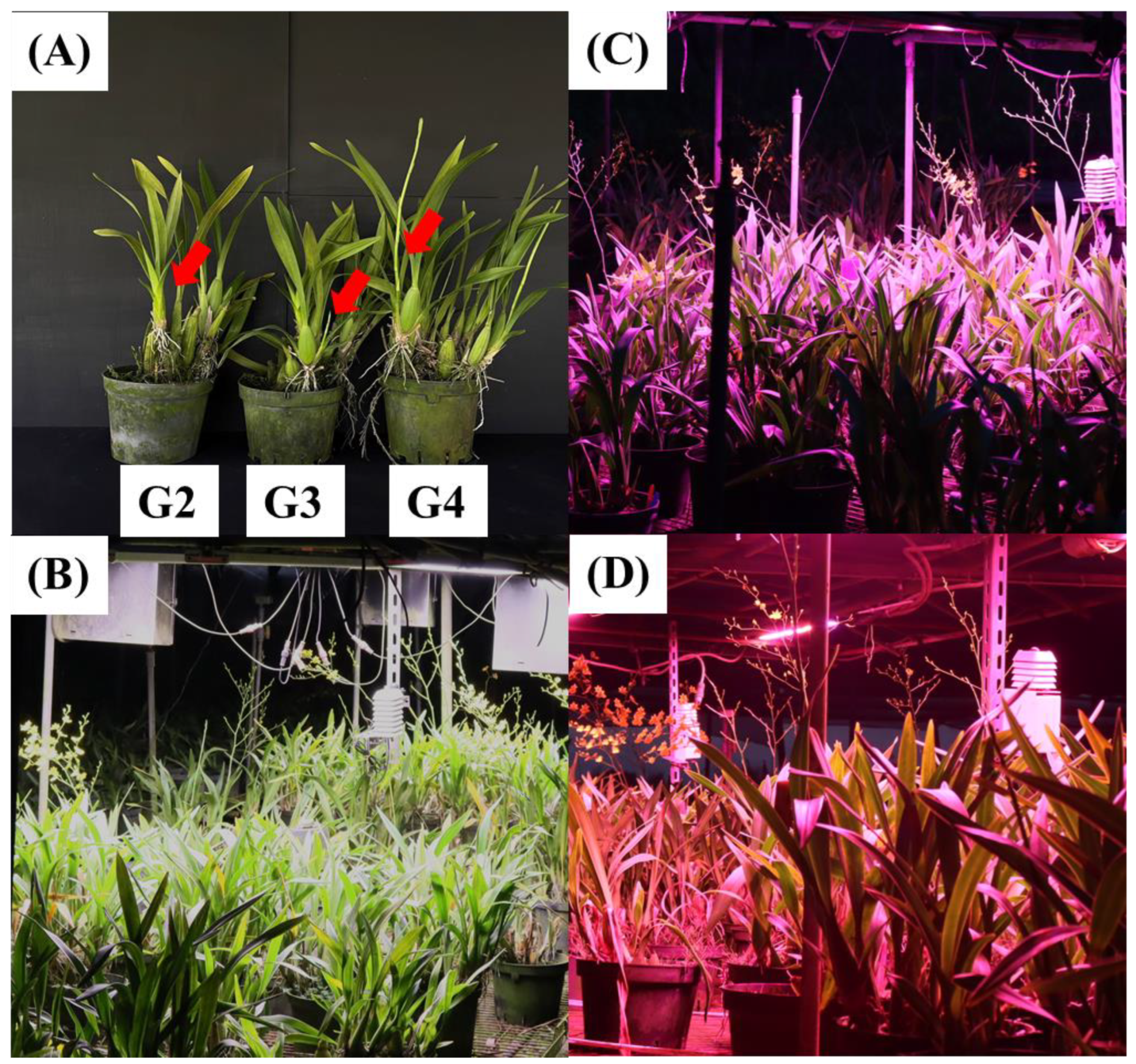 Agriculture 13 01937 g002