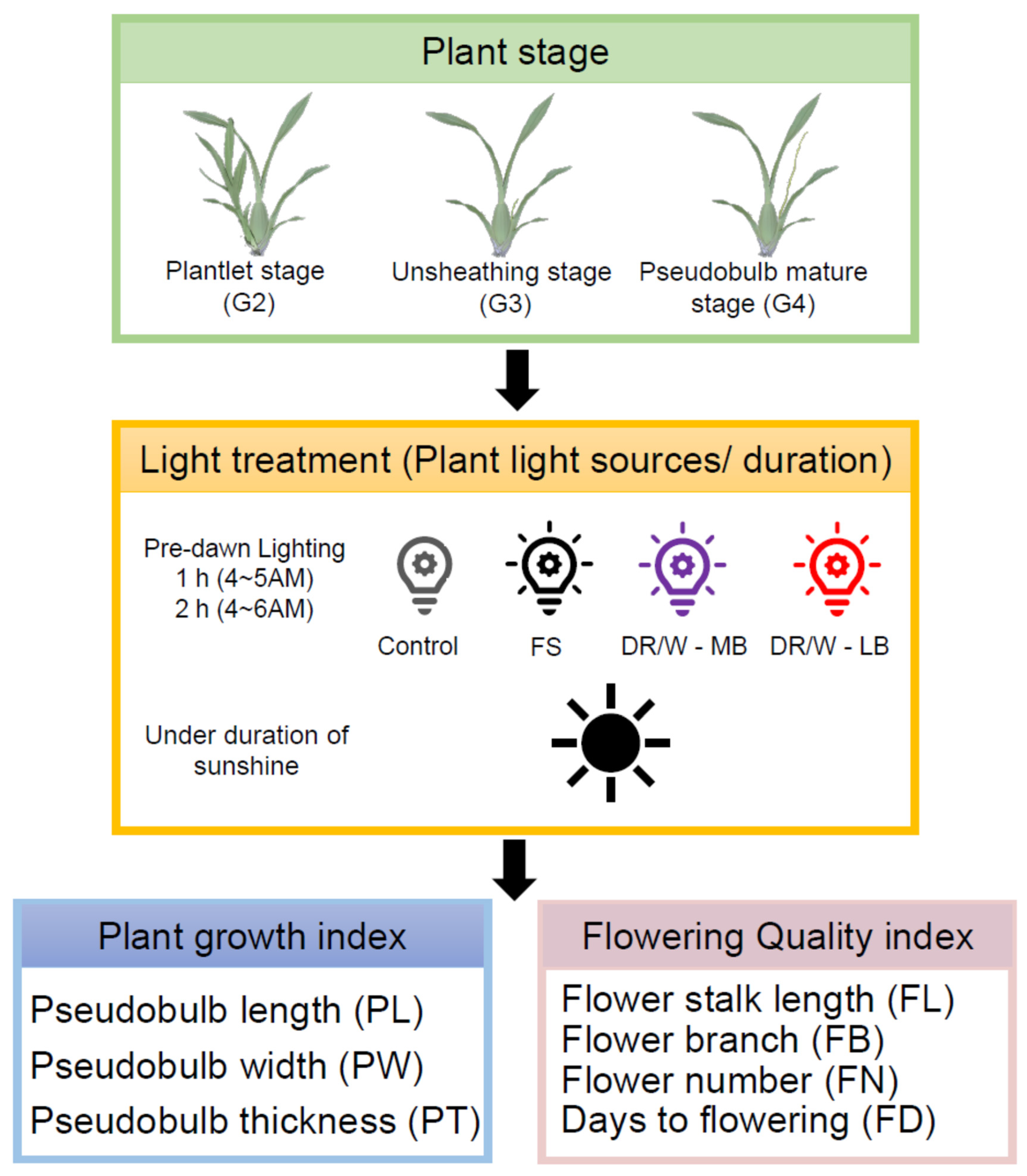 Agriculture 13 01937 g003