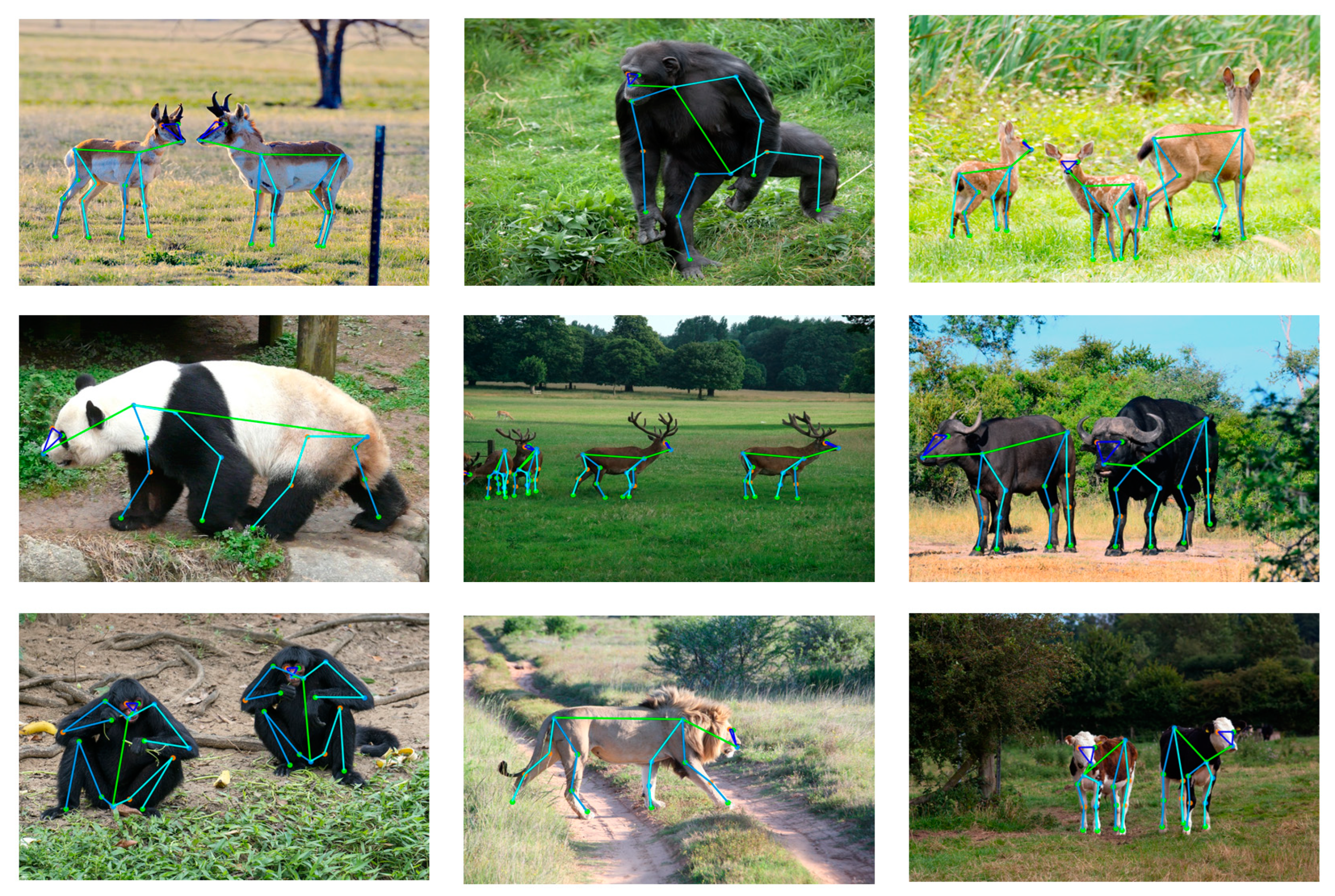 Agriculture 13 01938 g011