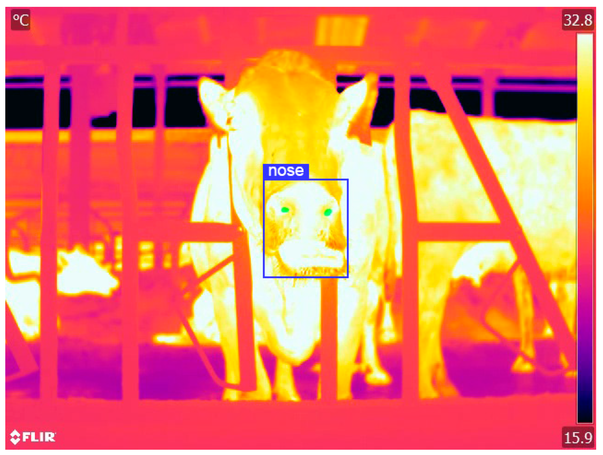 Agriculture 13 01939 g004